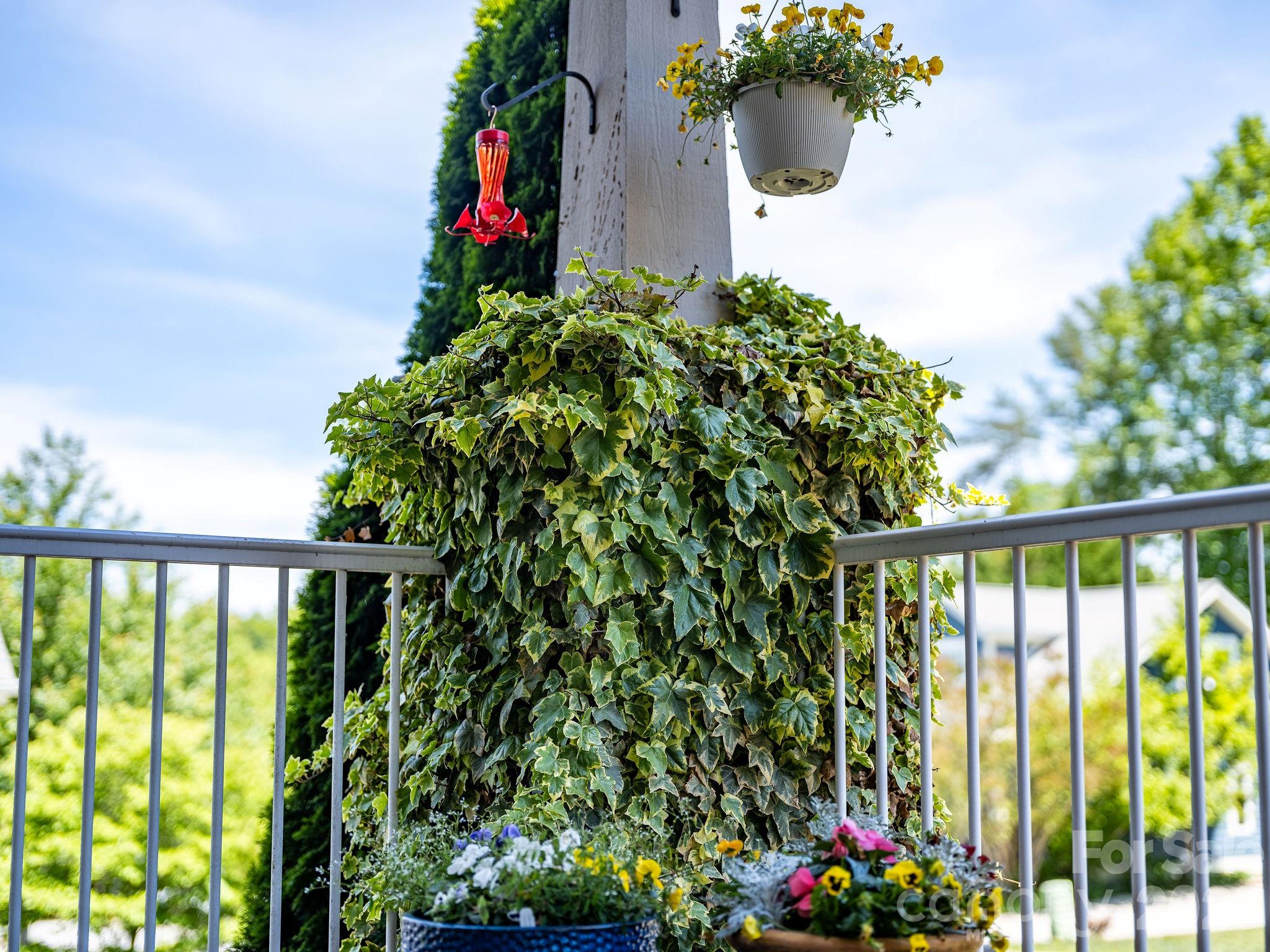 157 Estelle Park Drive — Asheville