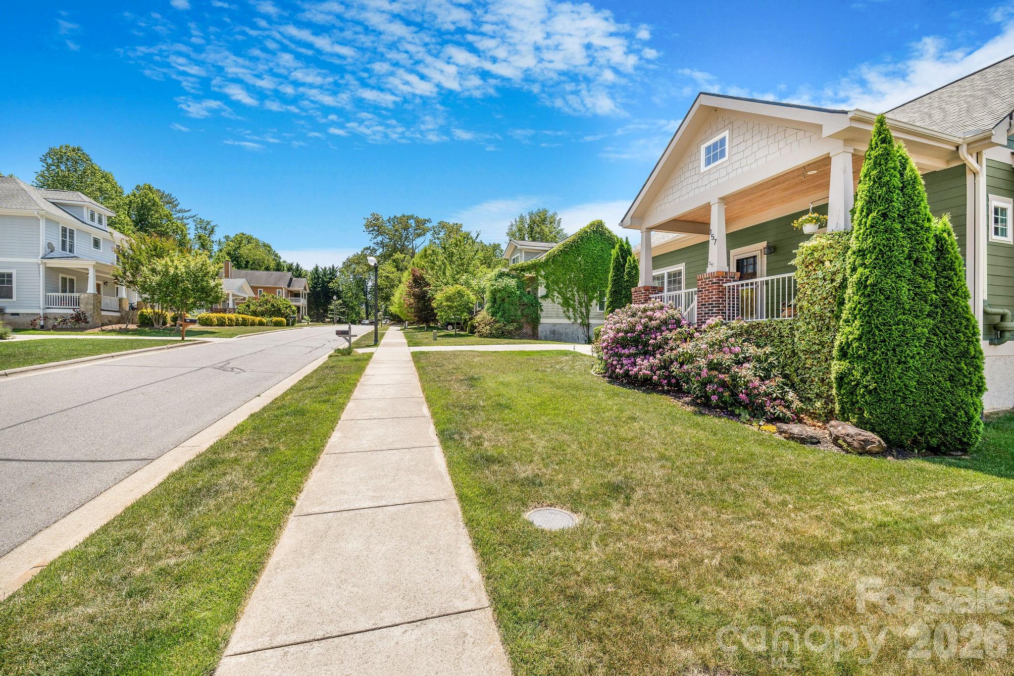 157 Estelle Park Drive — Asheville