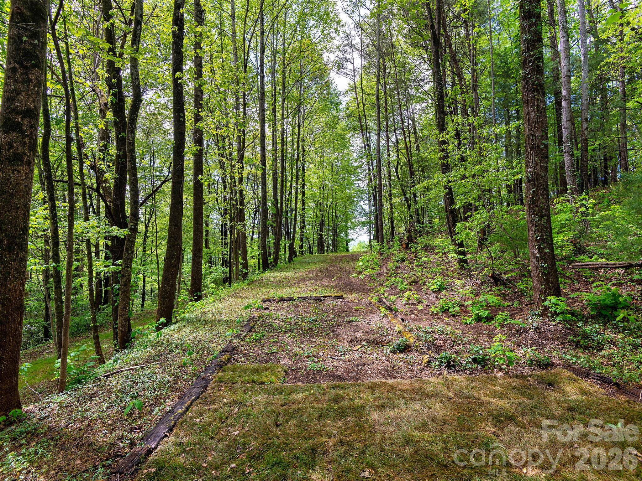 209 Ivy Hill Road — Hendersonville