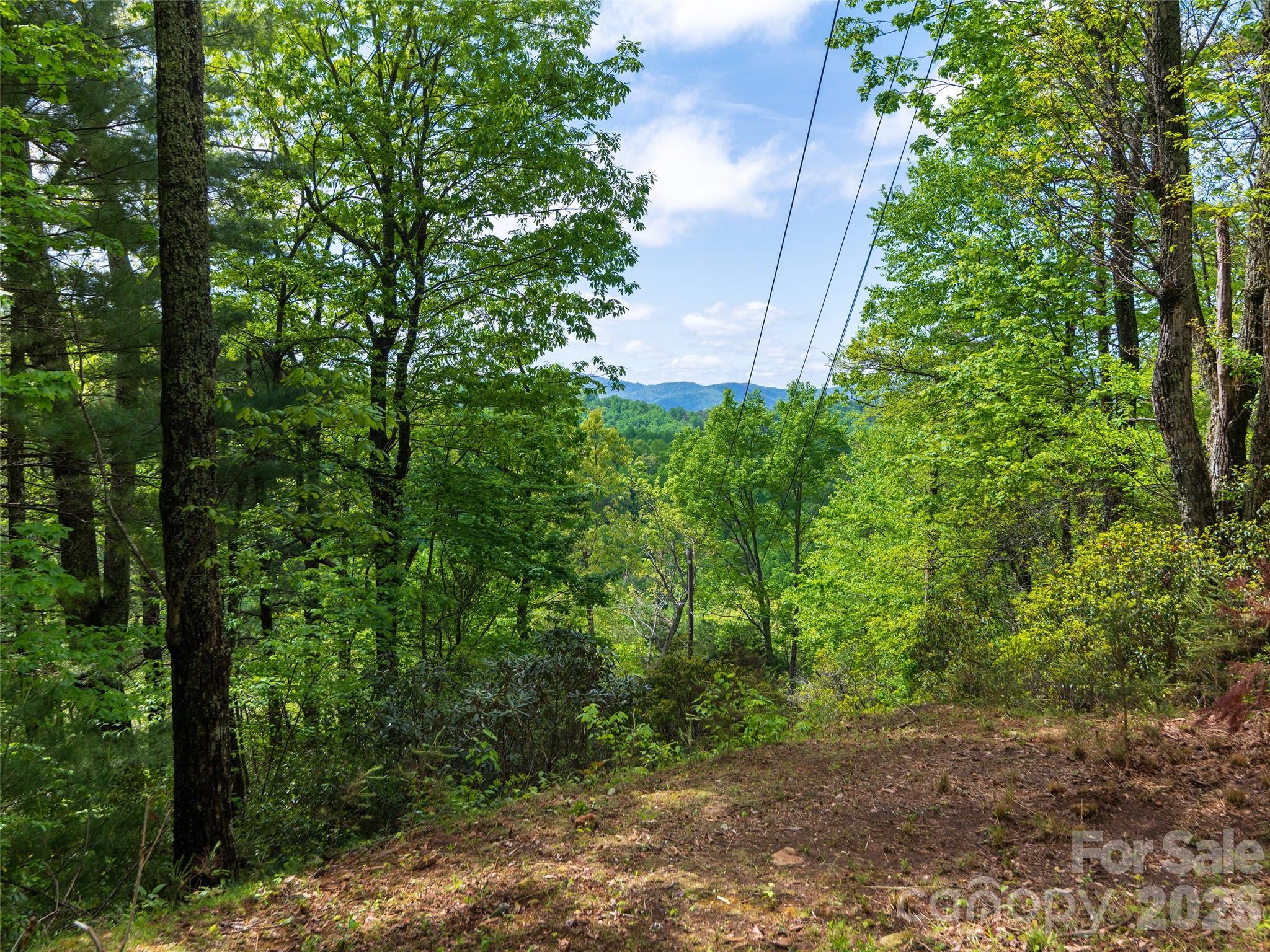 209 Ivy Hill Road — Hendersonville