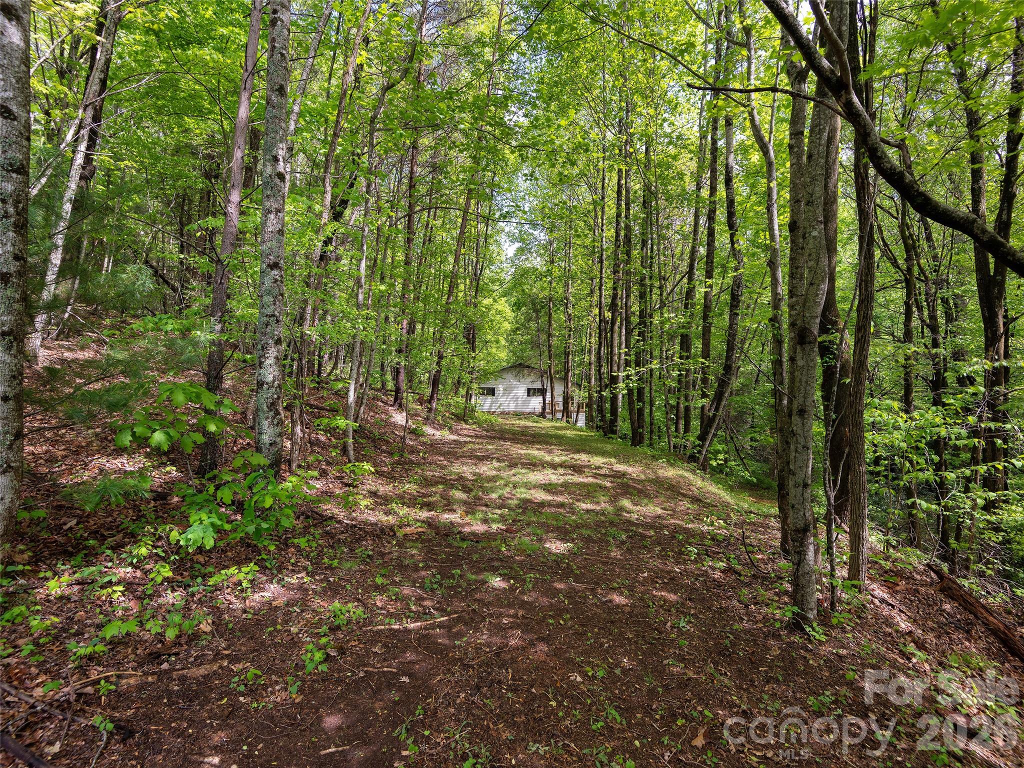 209 Ivy Hill Road — Hendersonville