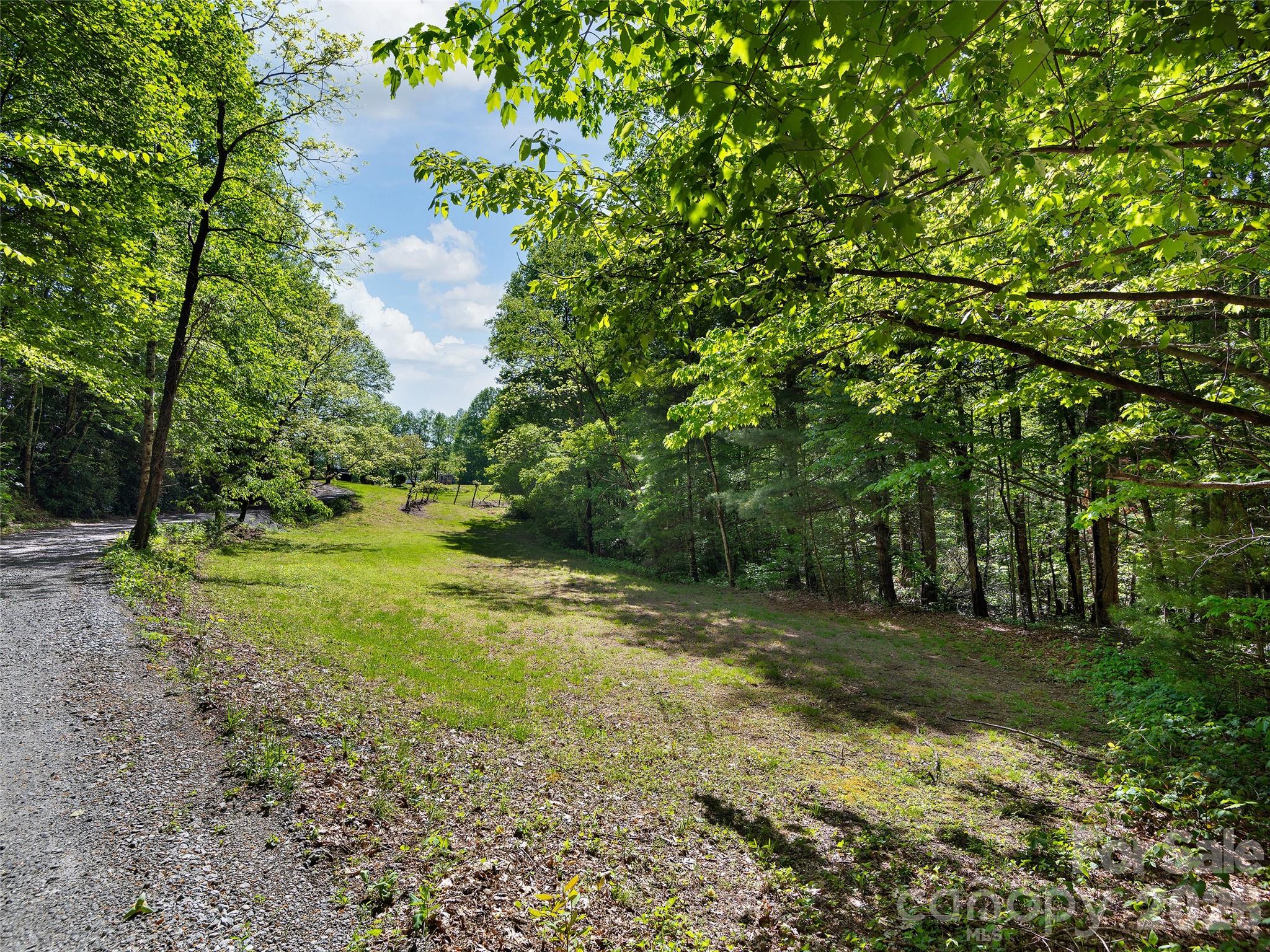 209 Ivy Hill Road — Hendersonville