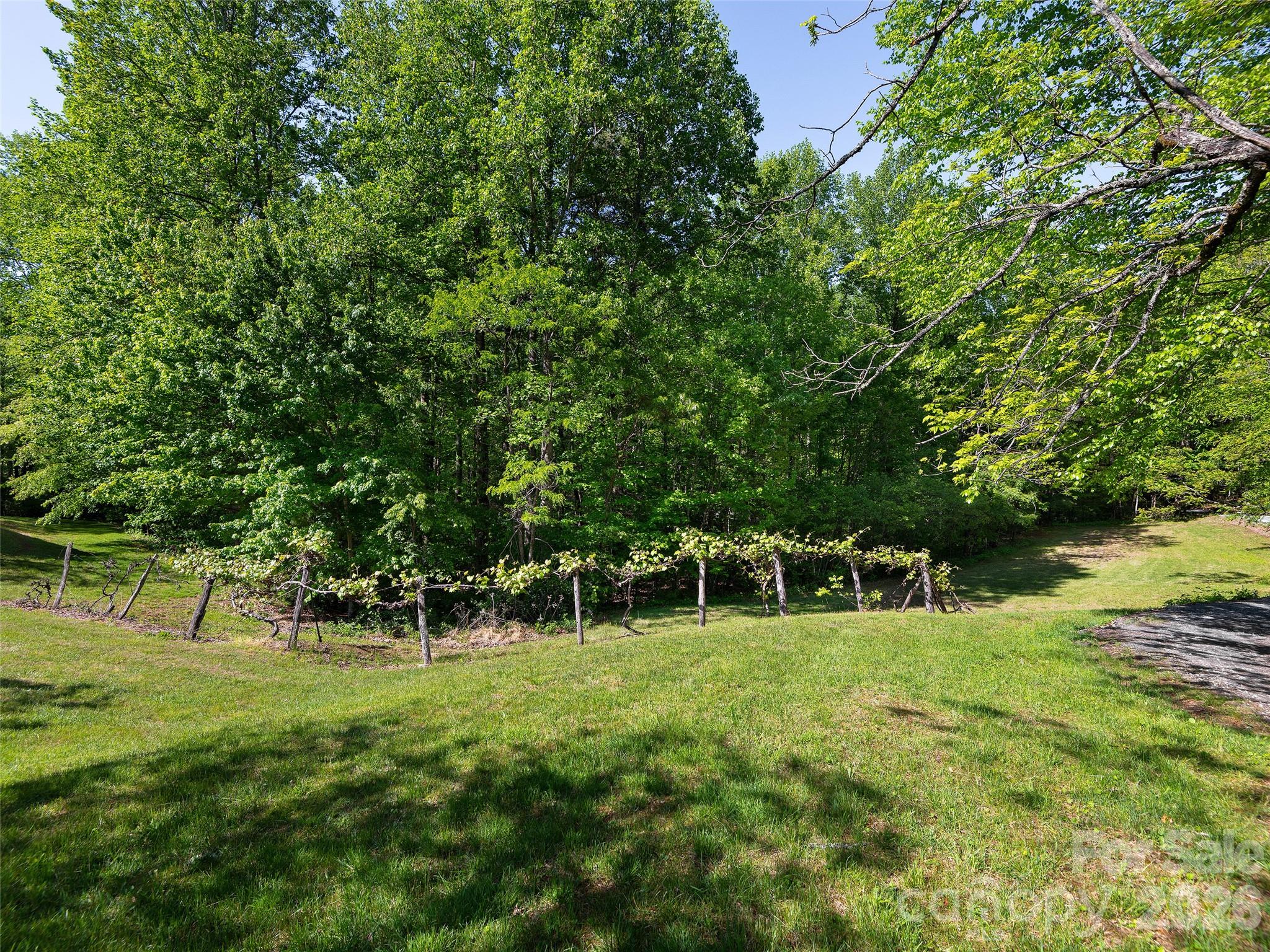 209 Ivy Hill Road — Hendersonville