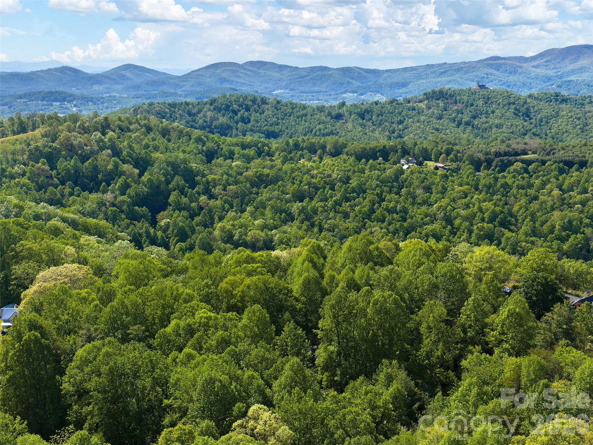 209 Ivy Hill Road — Hendersonville