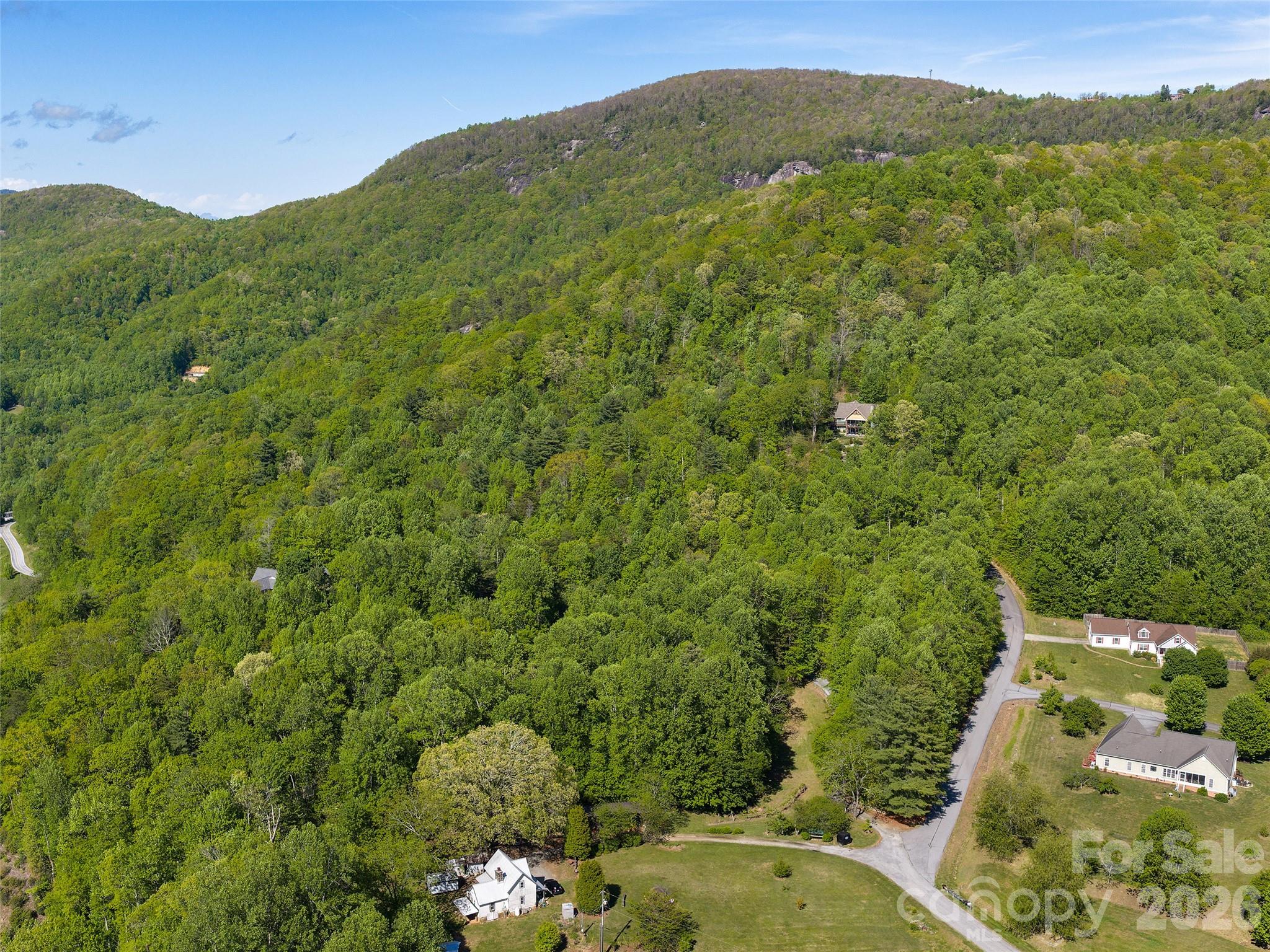 209 Ivy Hill Road — Hendersonville