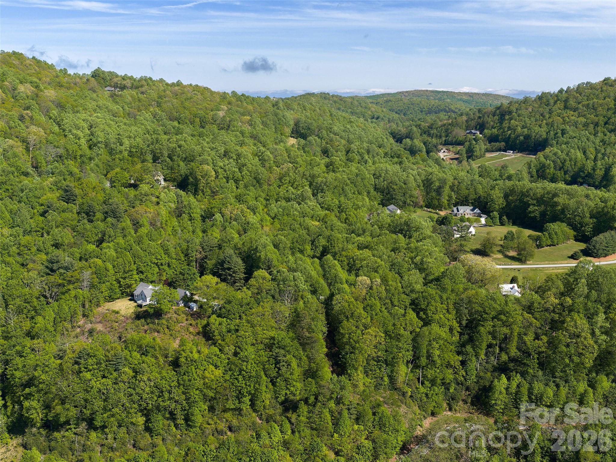209 Ivy Hill Road — Hendersonville
