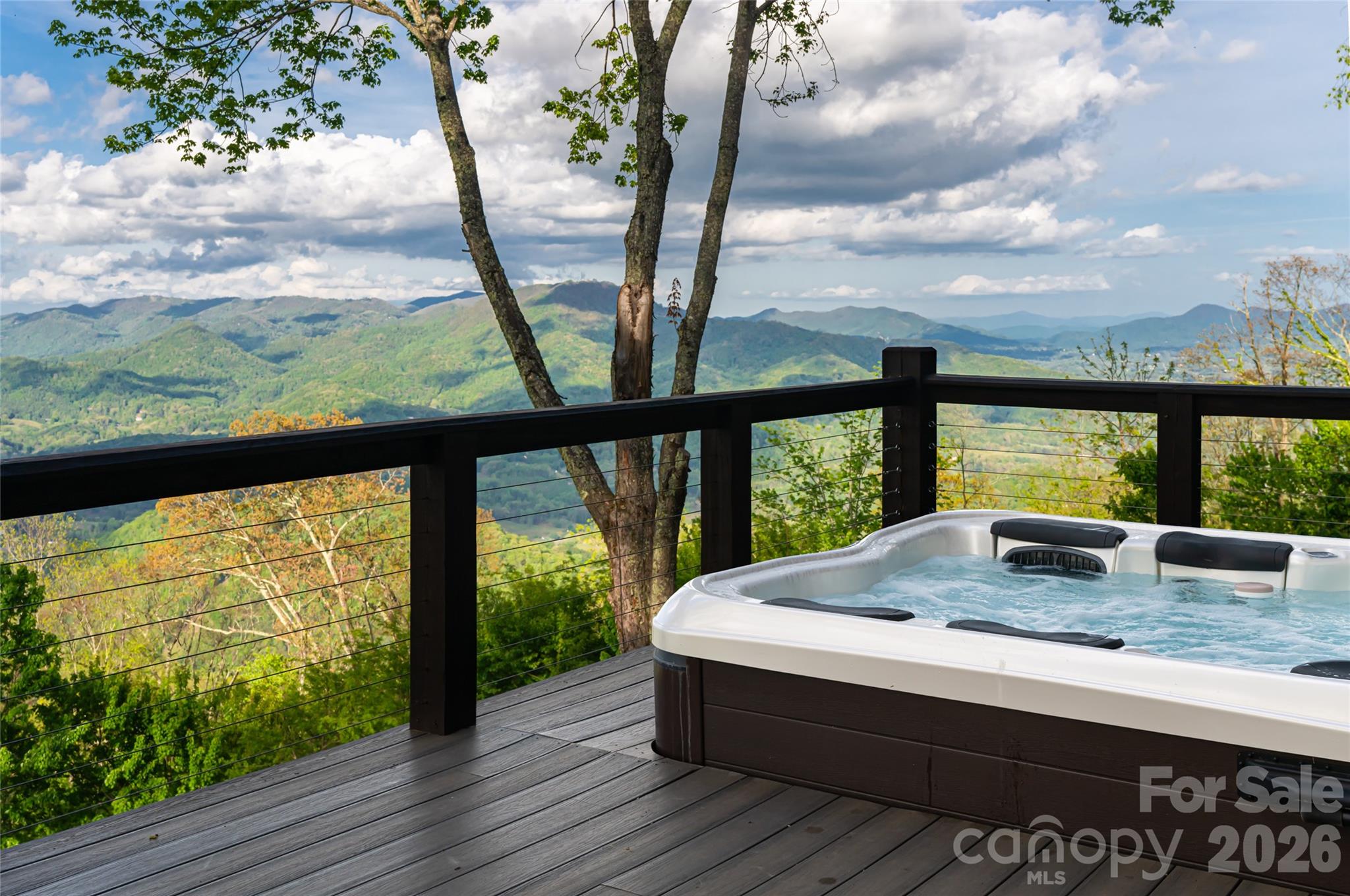 376 Wandering Trail — Waynesville