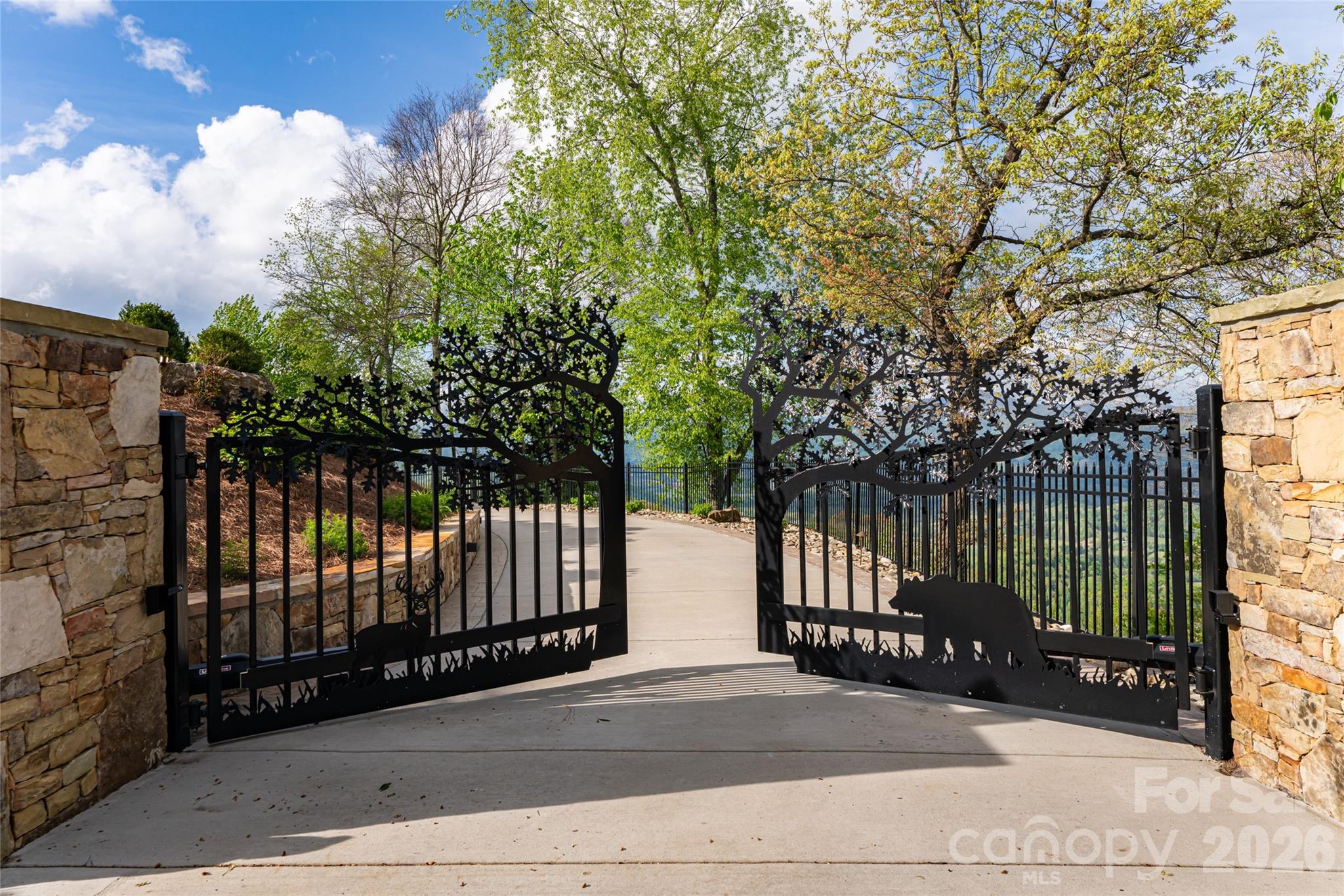 376 Wandering Trail — Waynesville