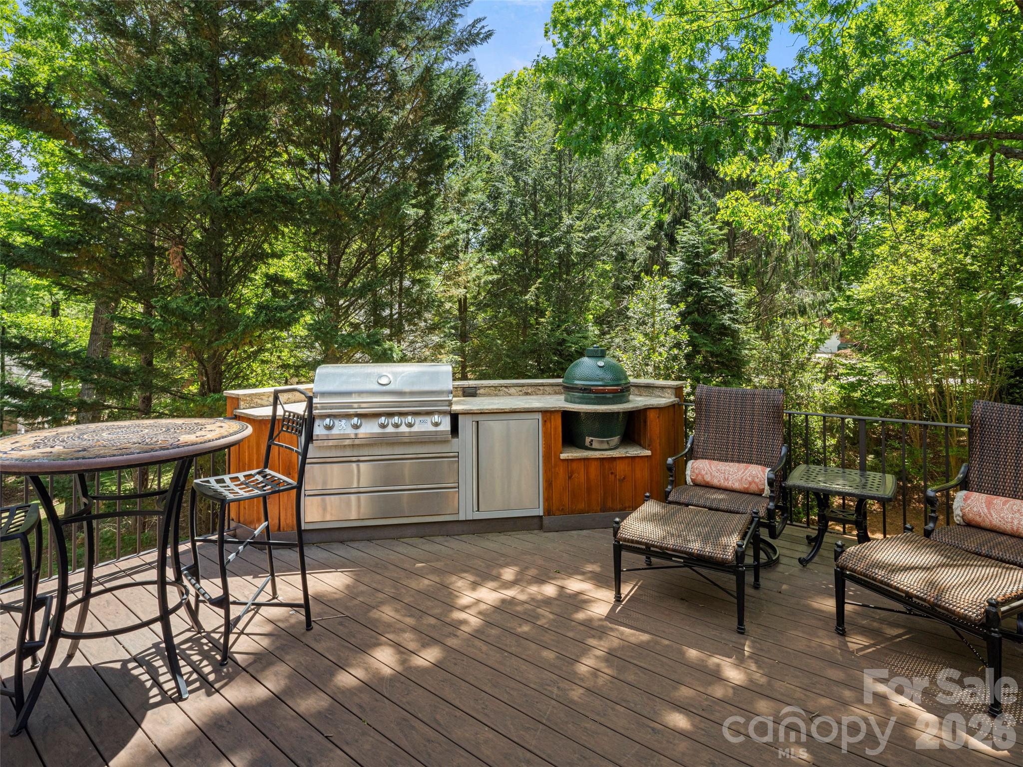 701 Baneberry Court — Asheville