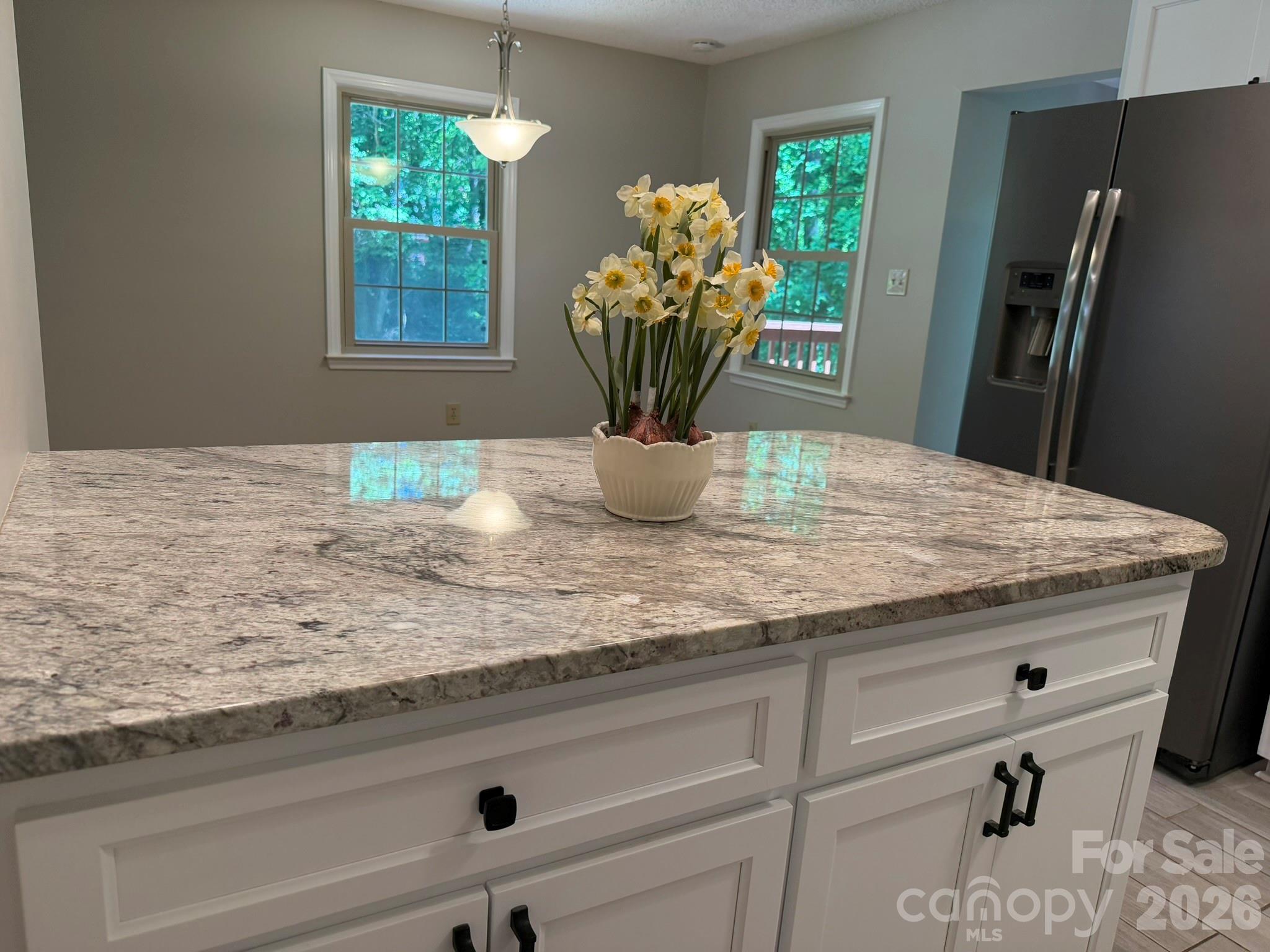3840 Cherry Grove Drive — Hickory