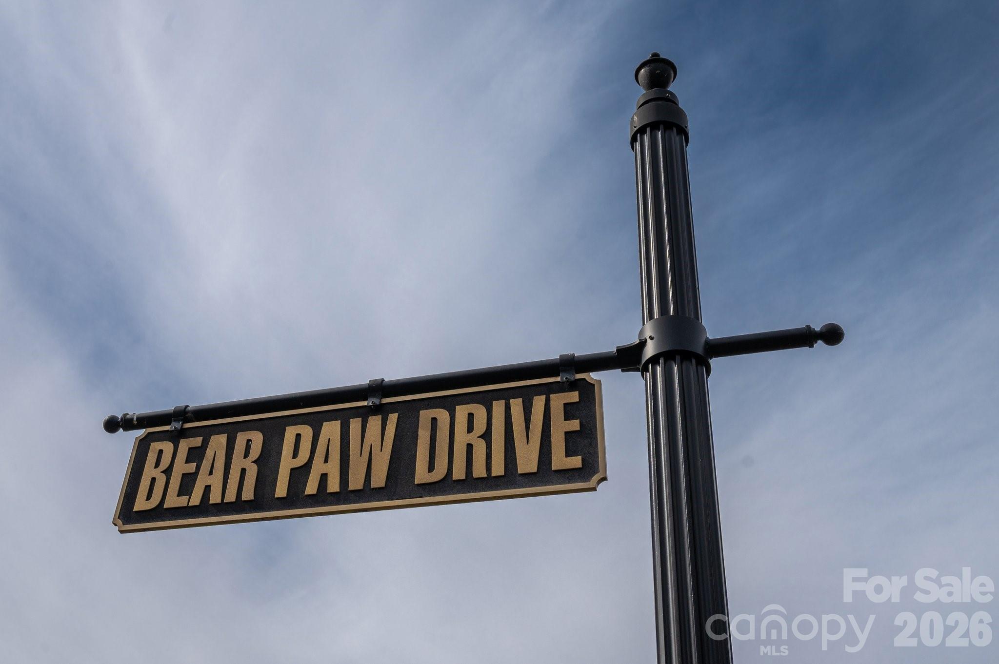 504 Bear Paw Drive — Waxhaw