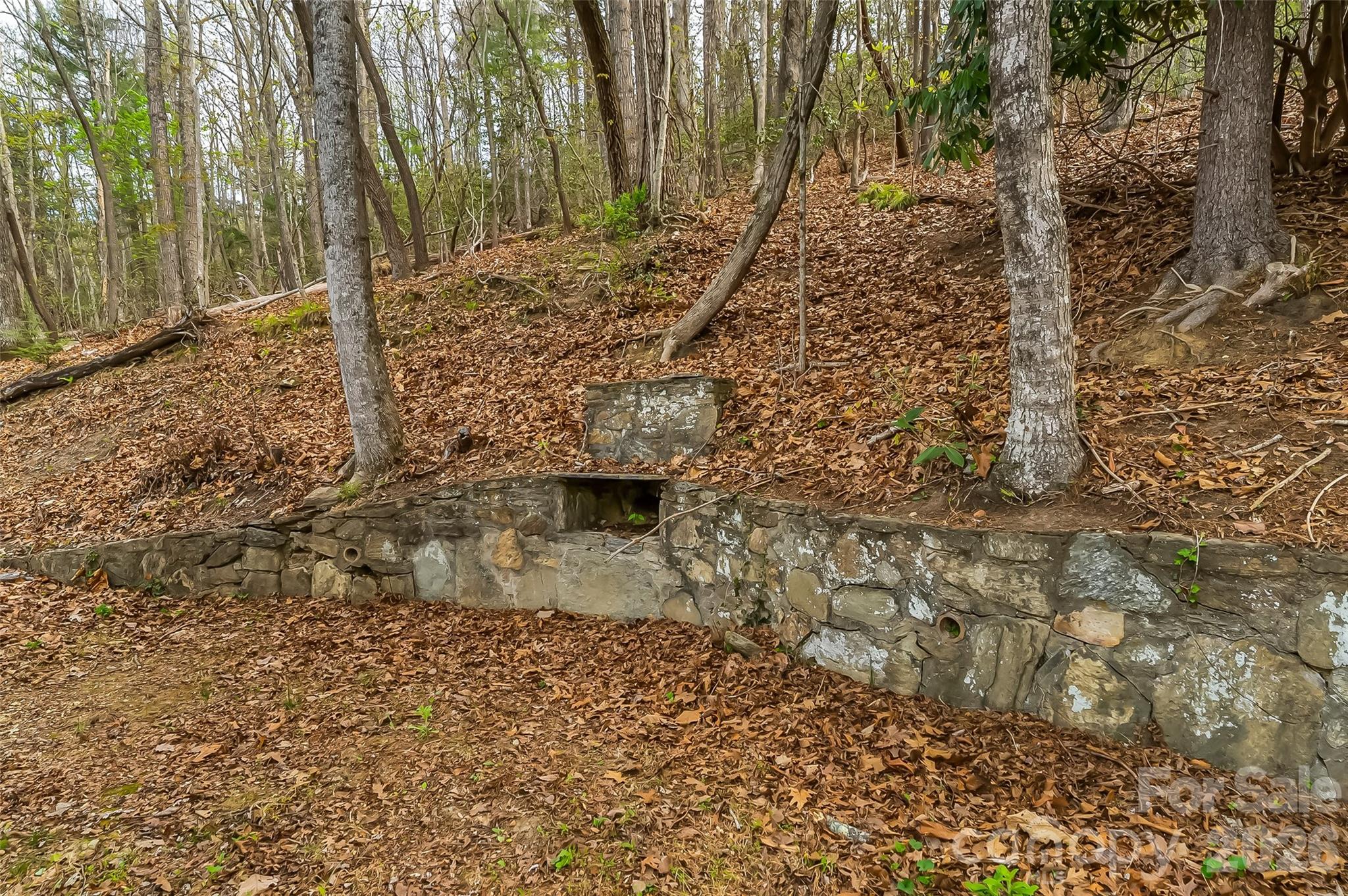 98 Limberlost Drive — Hendersonville