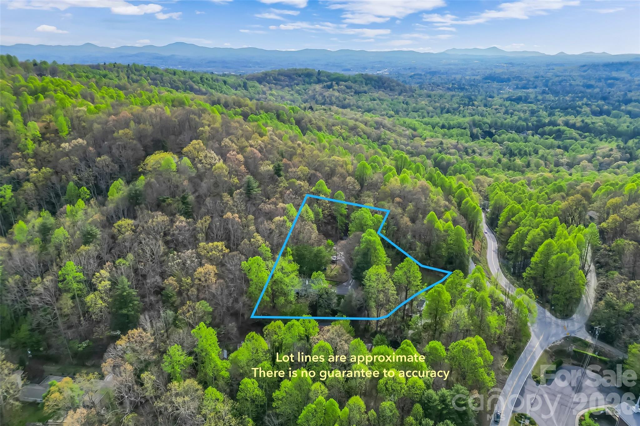 98 Limberlost Drive — Hendersonville