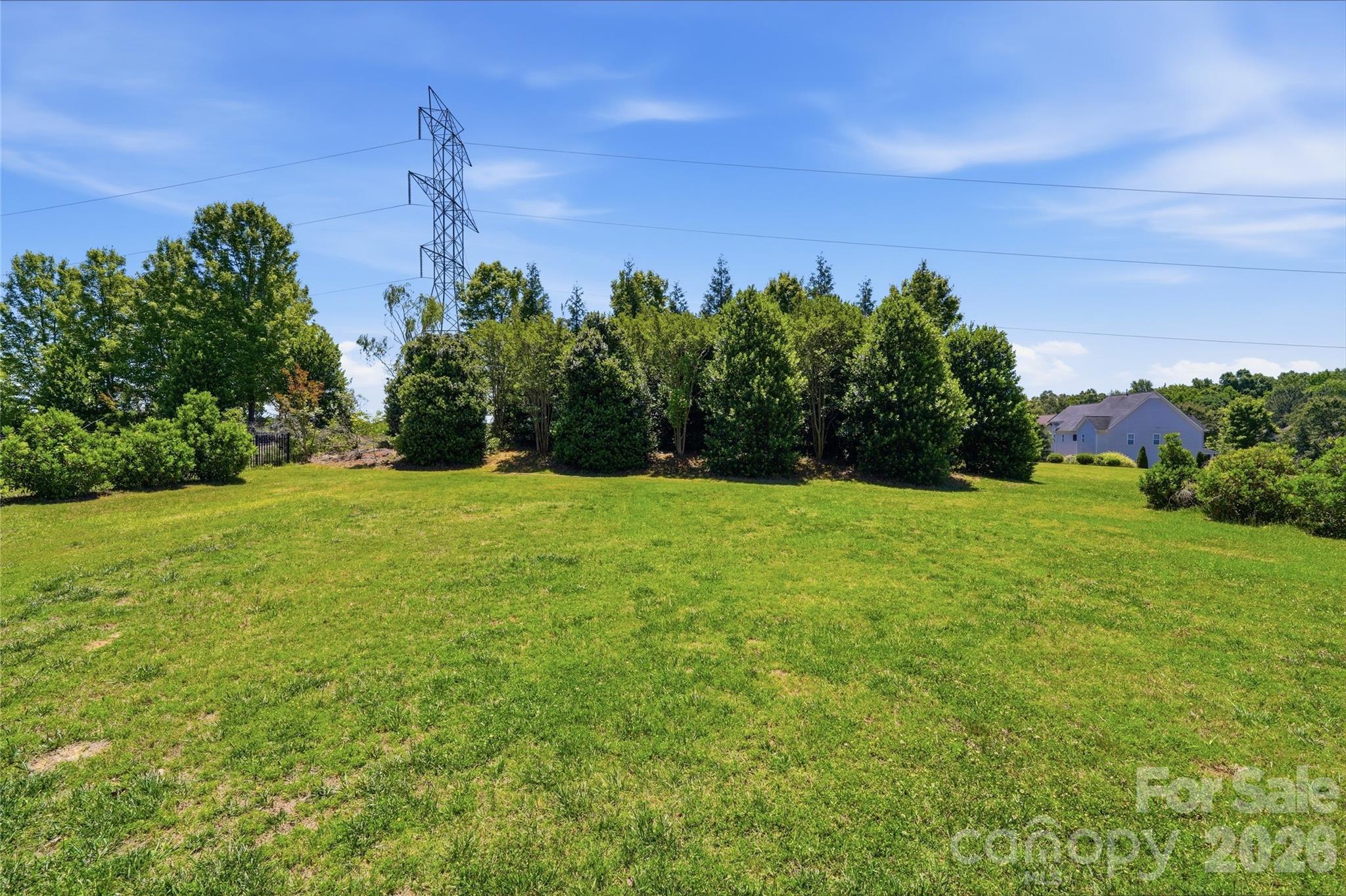 7405 Spice Bush Court — Waxhaw