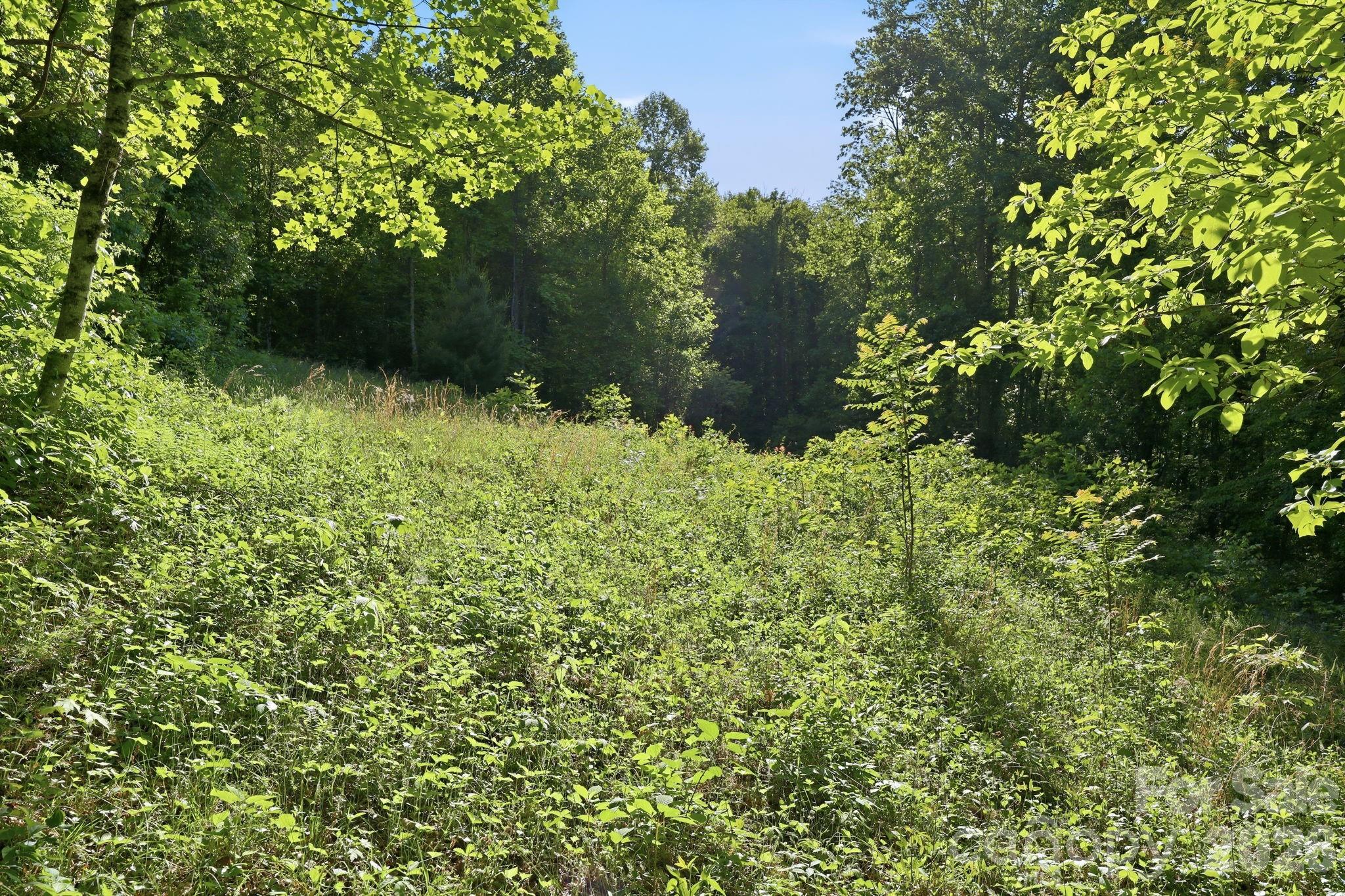 98 Sparkling Springs Road — Fairview
