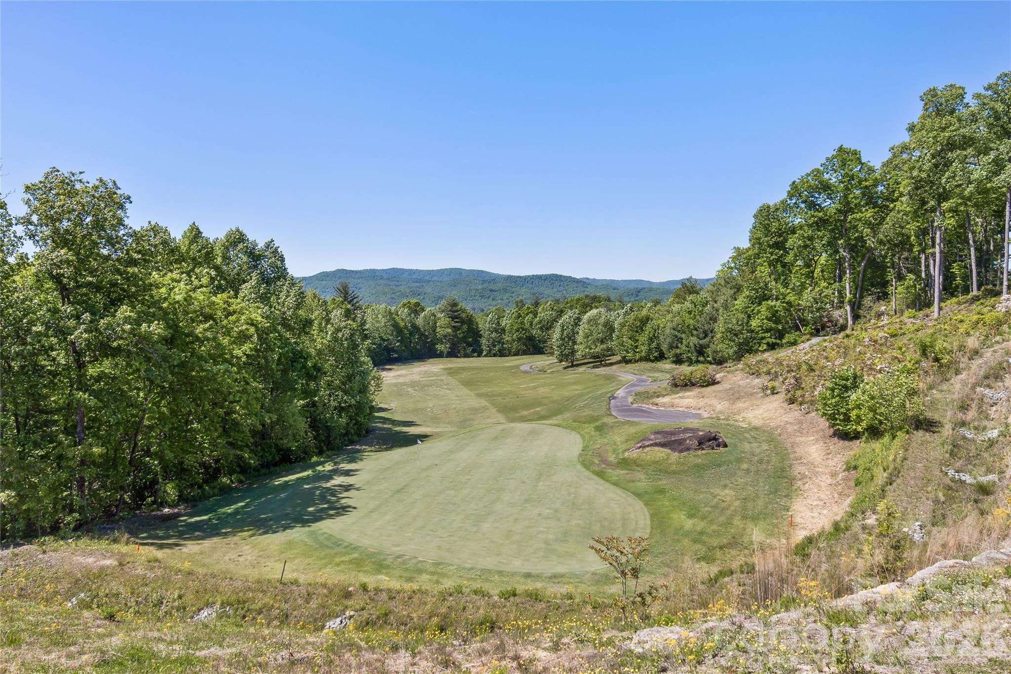 96 Copper Valley Lane — Hendersonville