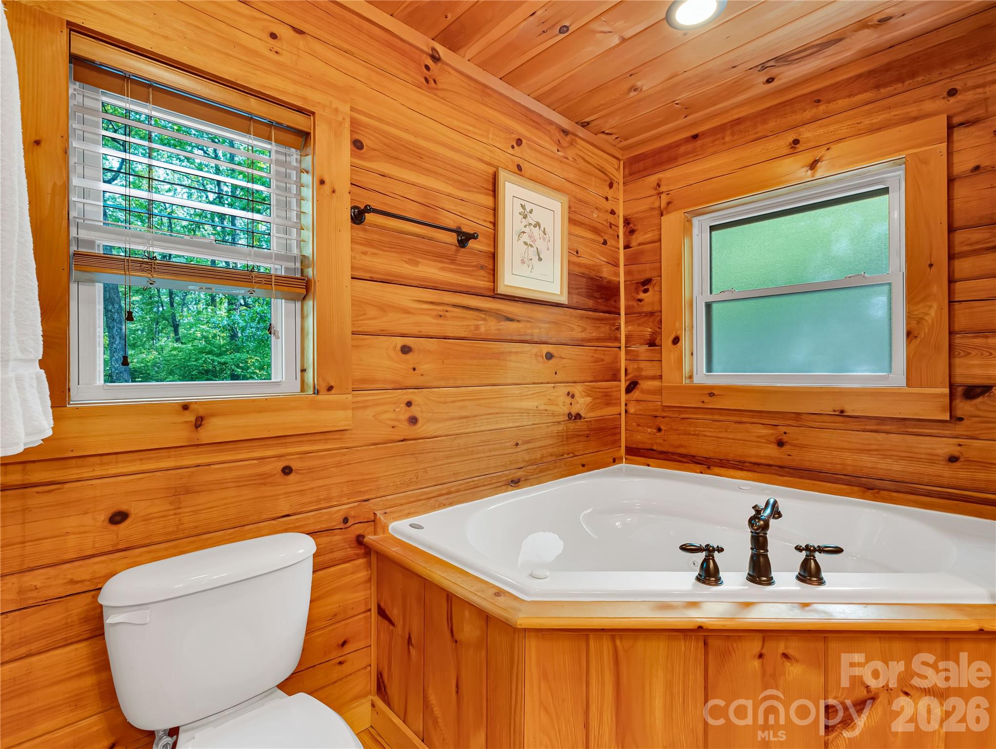 586 Tanglewood Lane — Saluda