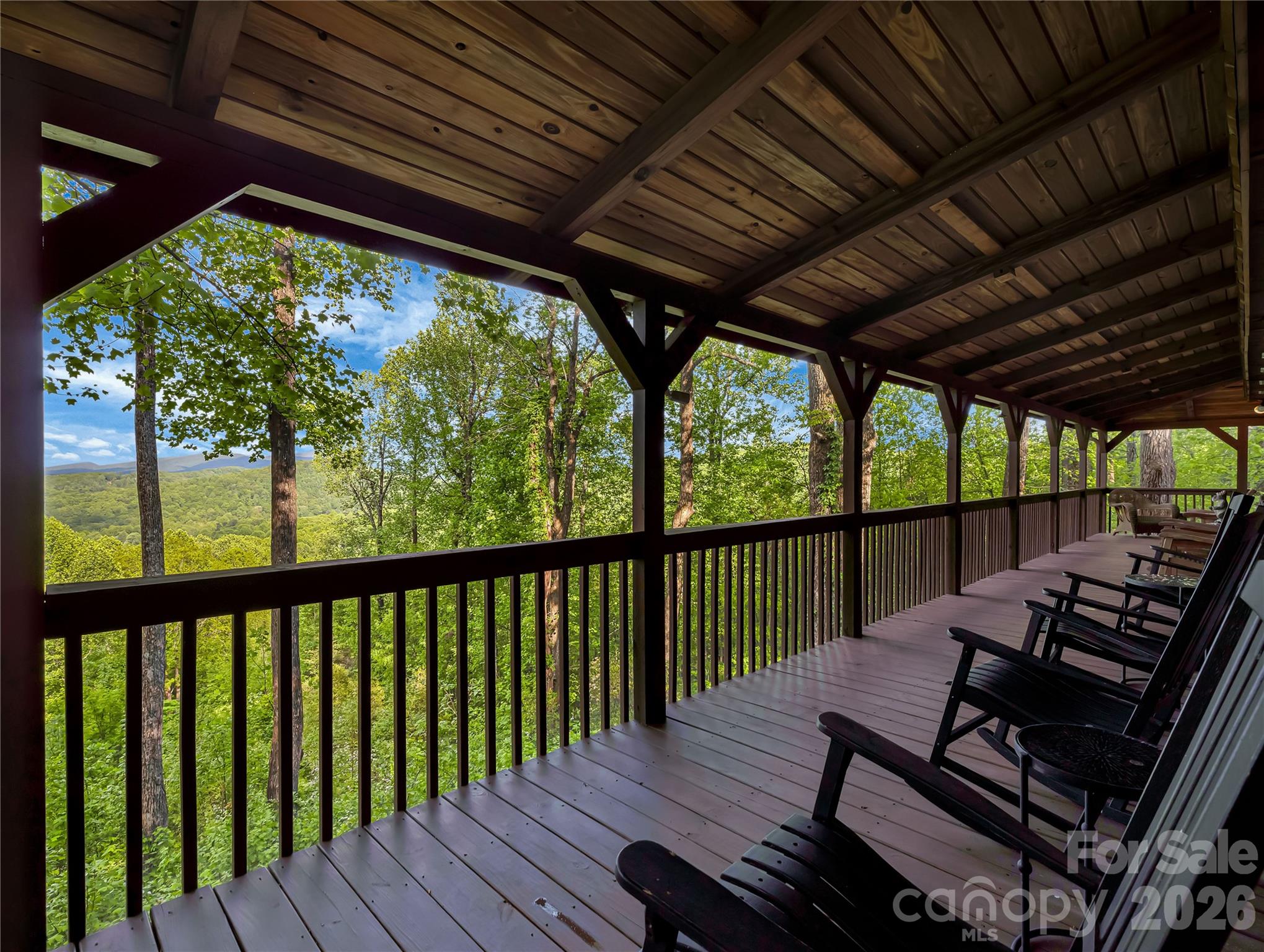 586 Tanglewood Lane — Saluda