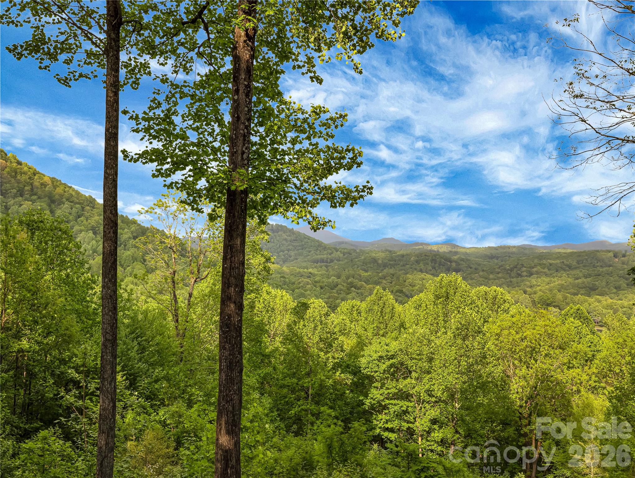 586 Tanglewood Lane — Saluda