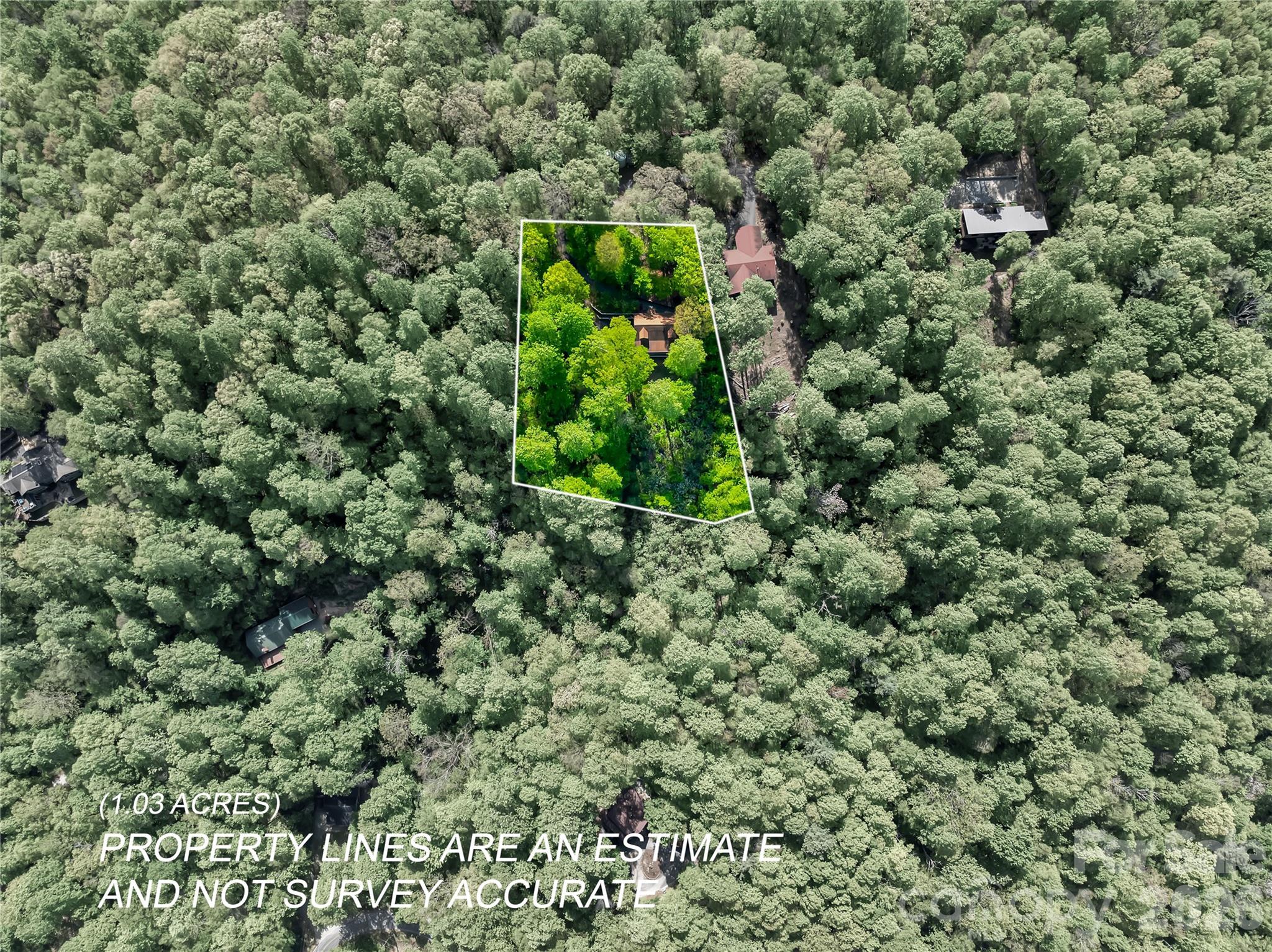 586 Tanglewood Lane — Saluda