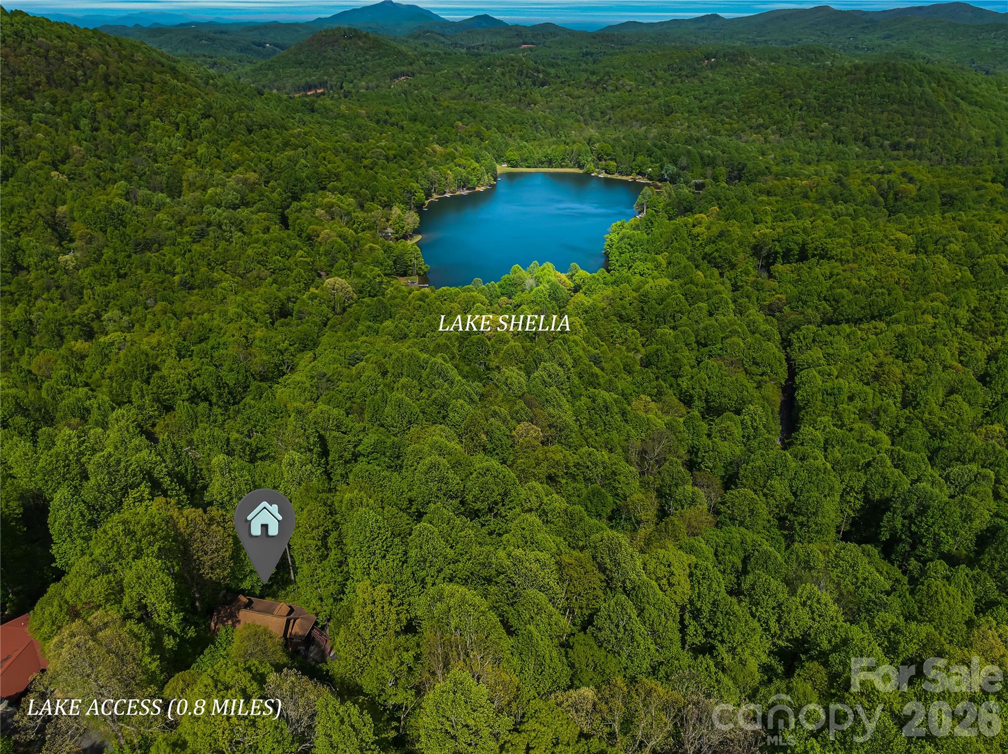 586 Tanglewood Lane — Saluda