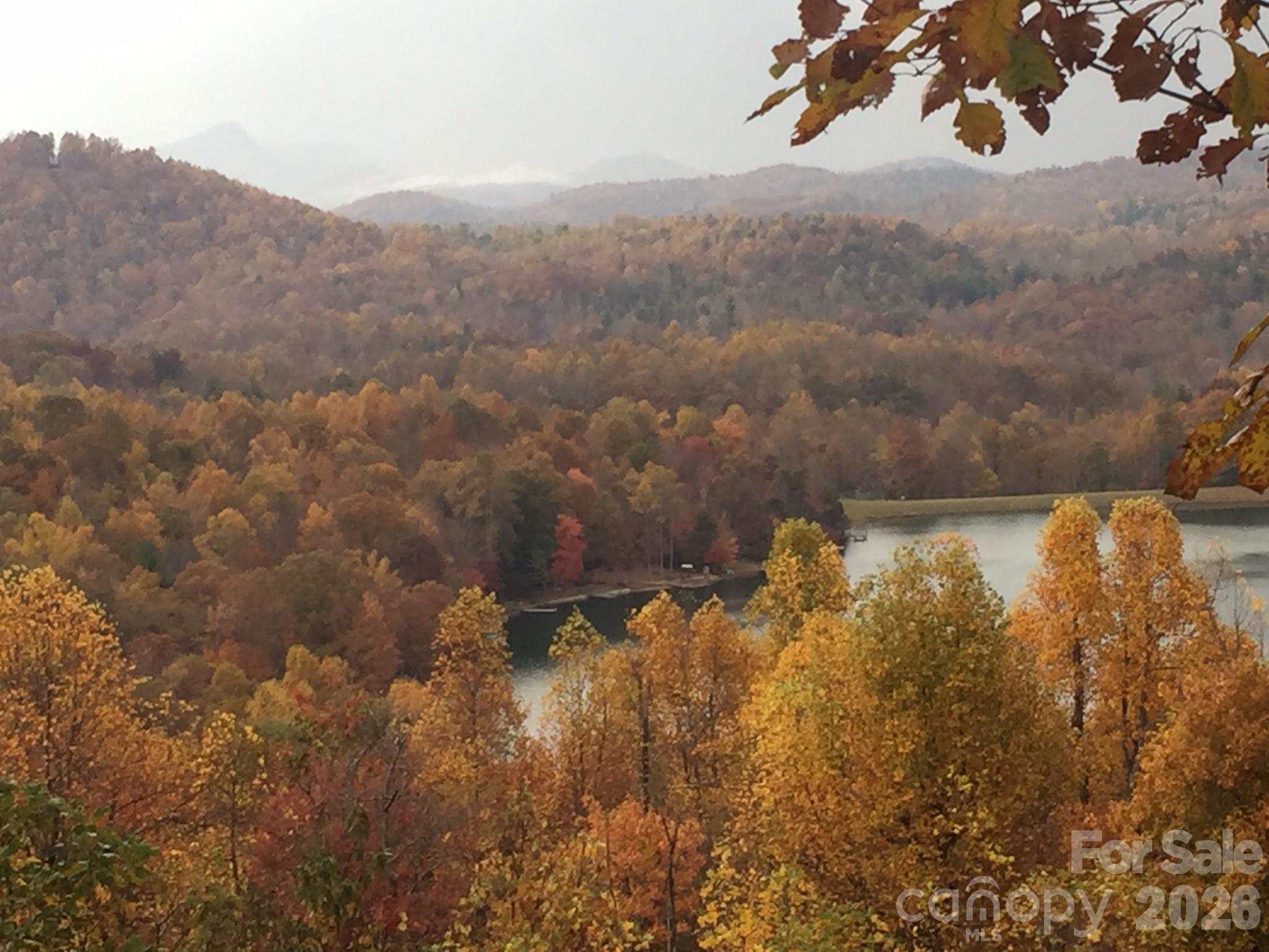 586 Tanglewood Lane — Saluda