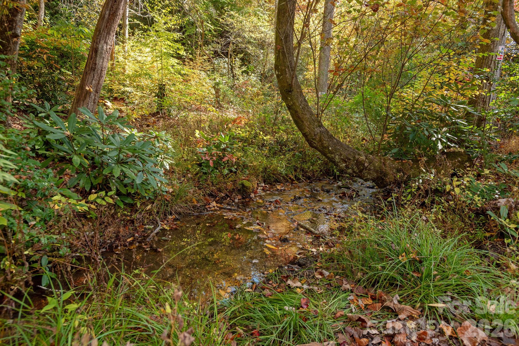 142 Davids Trace — Pisgah Forest