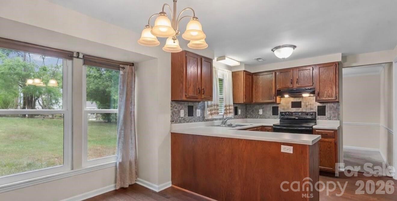 10912 Balbriggan Court — Charlotte