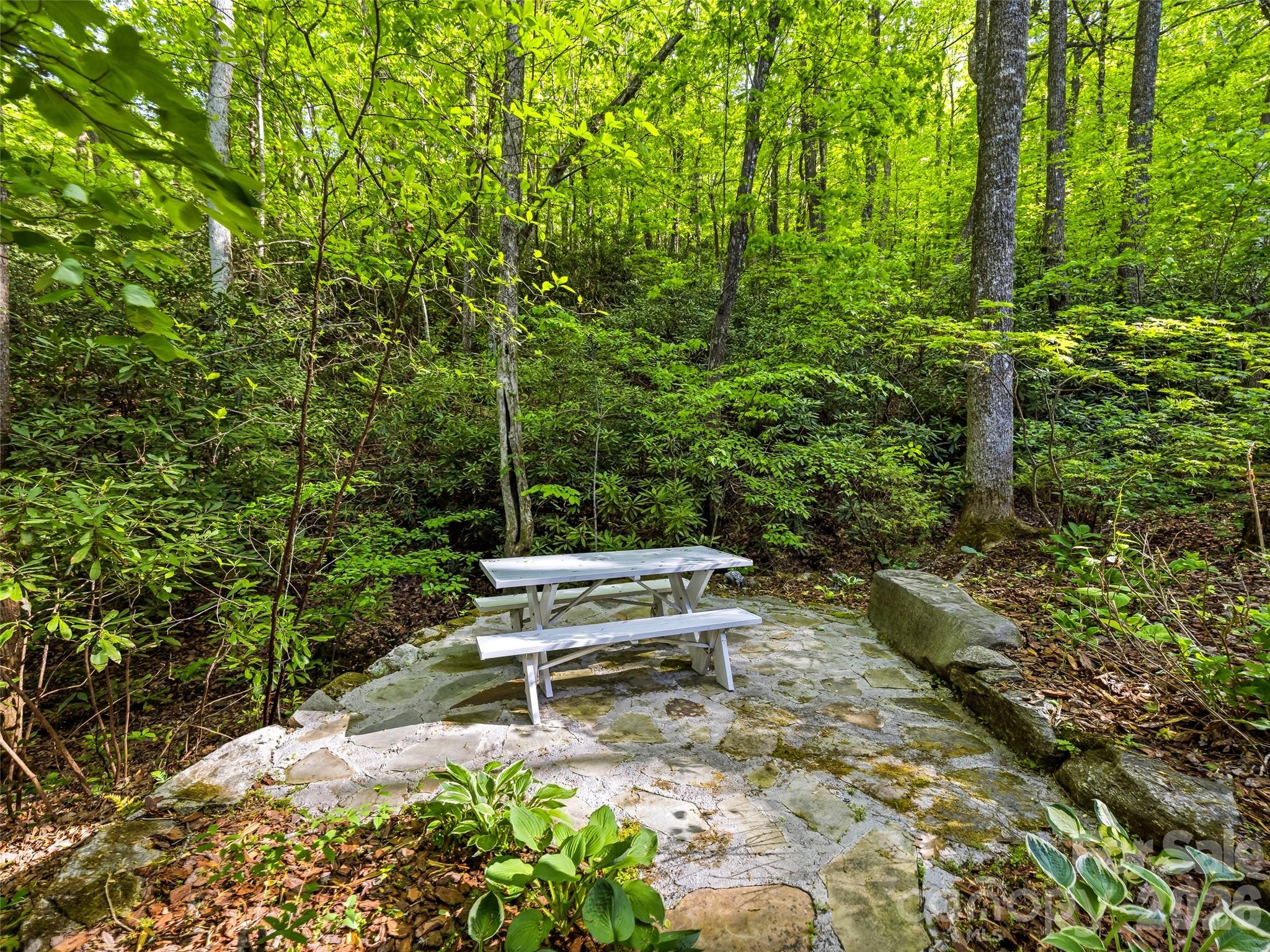 329 Kenmure Drive — Flat Rock