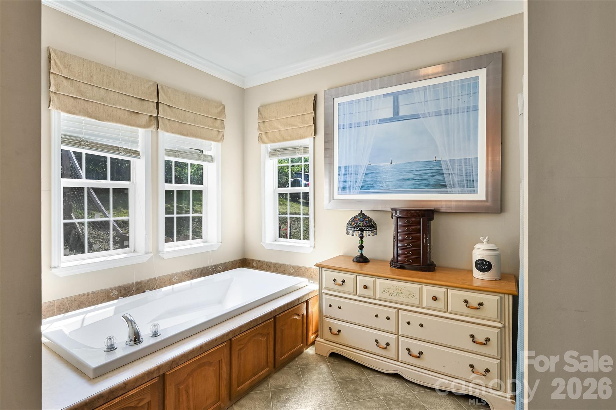 371 Starnes Cove Road — Candler