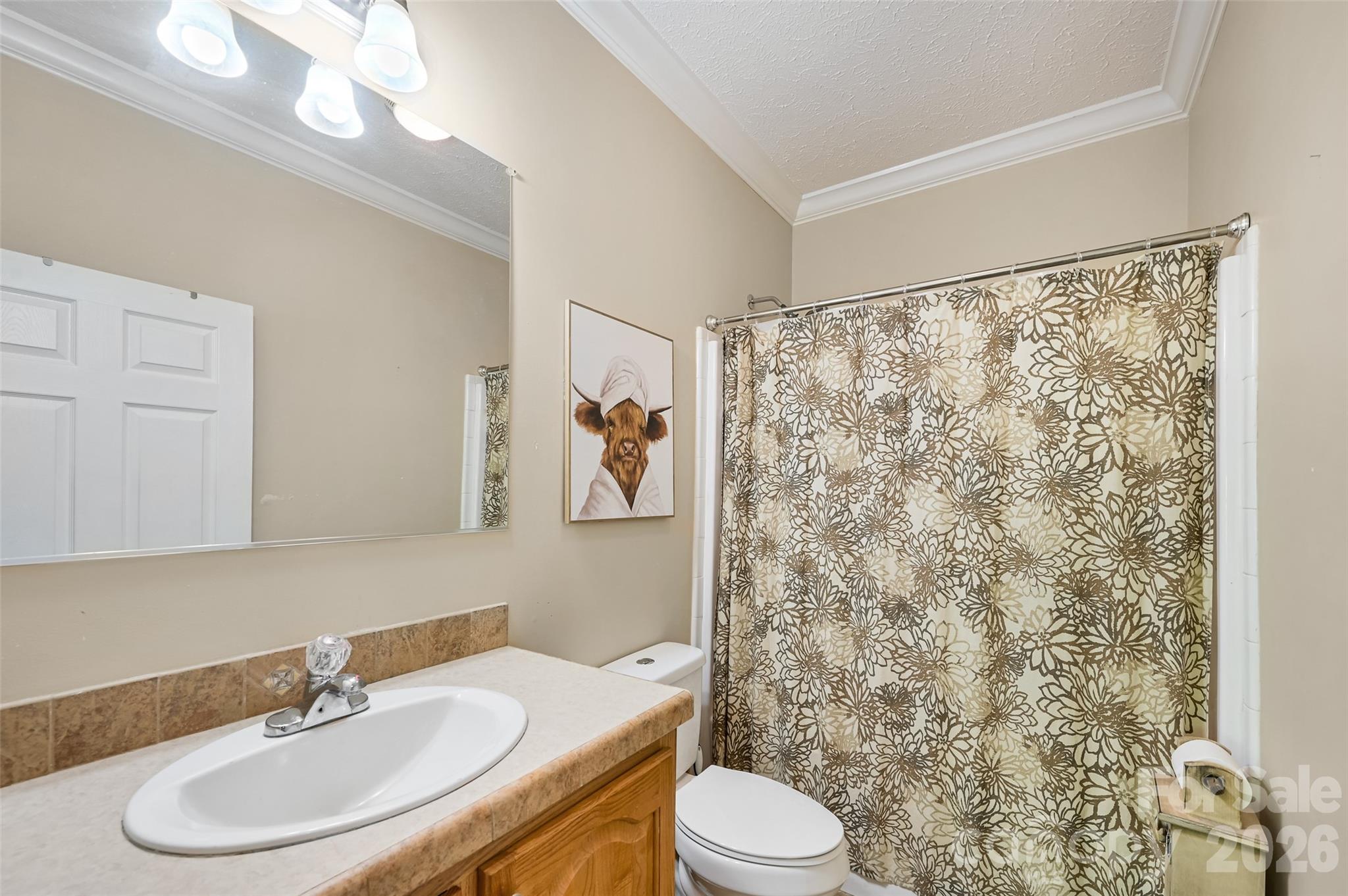 371 Starnes Cove Road — Candler