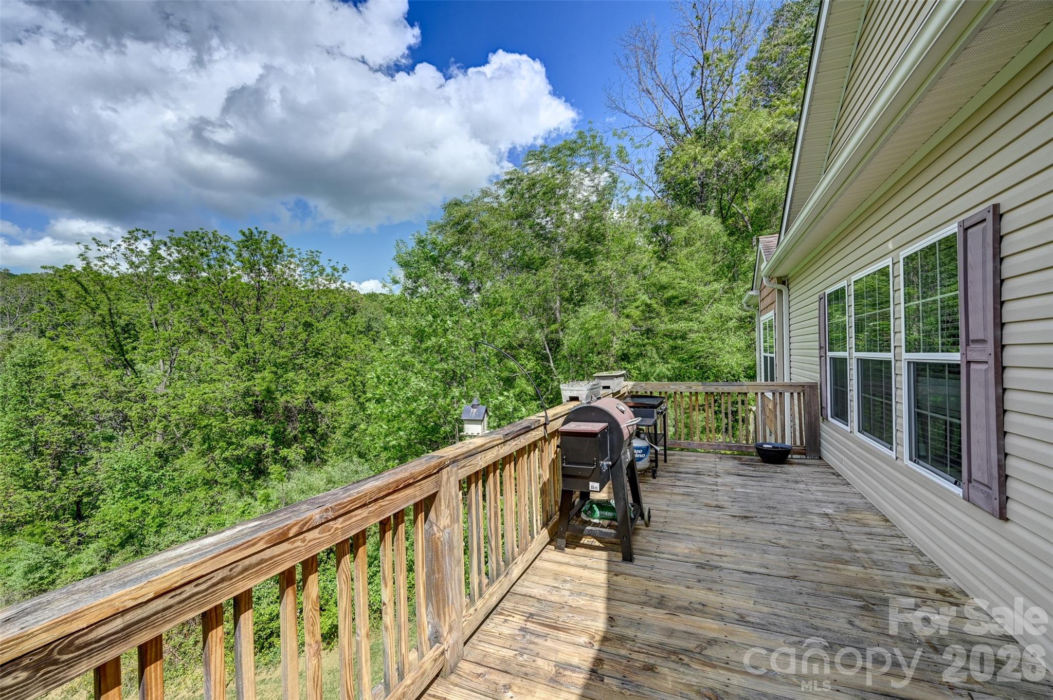 371 Starnes Cove Road — Candler