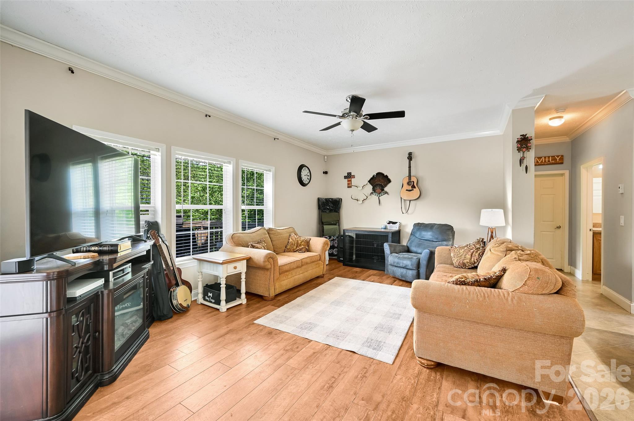 371 Starnes Cove Road — Candler