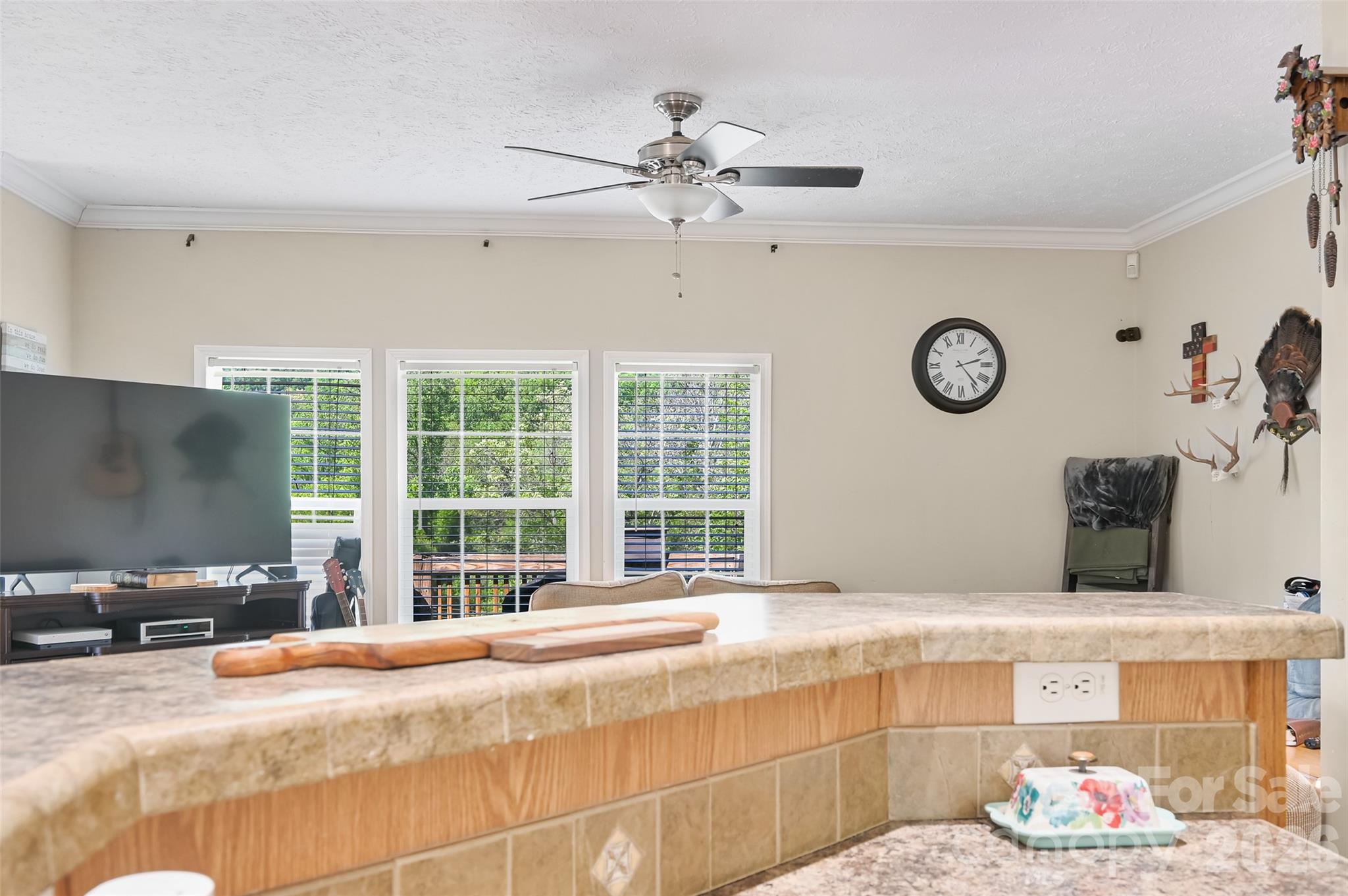 371 Starnes Cove Road — Candler