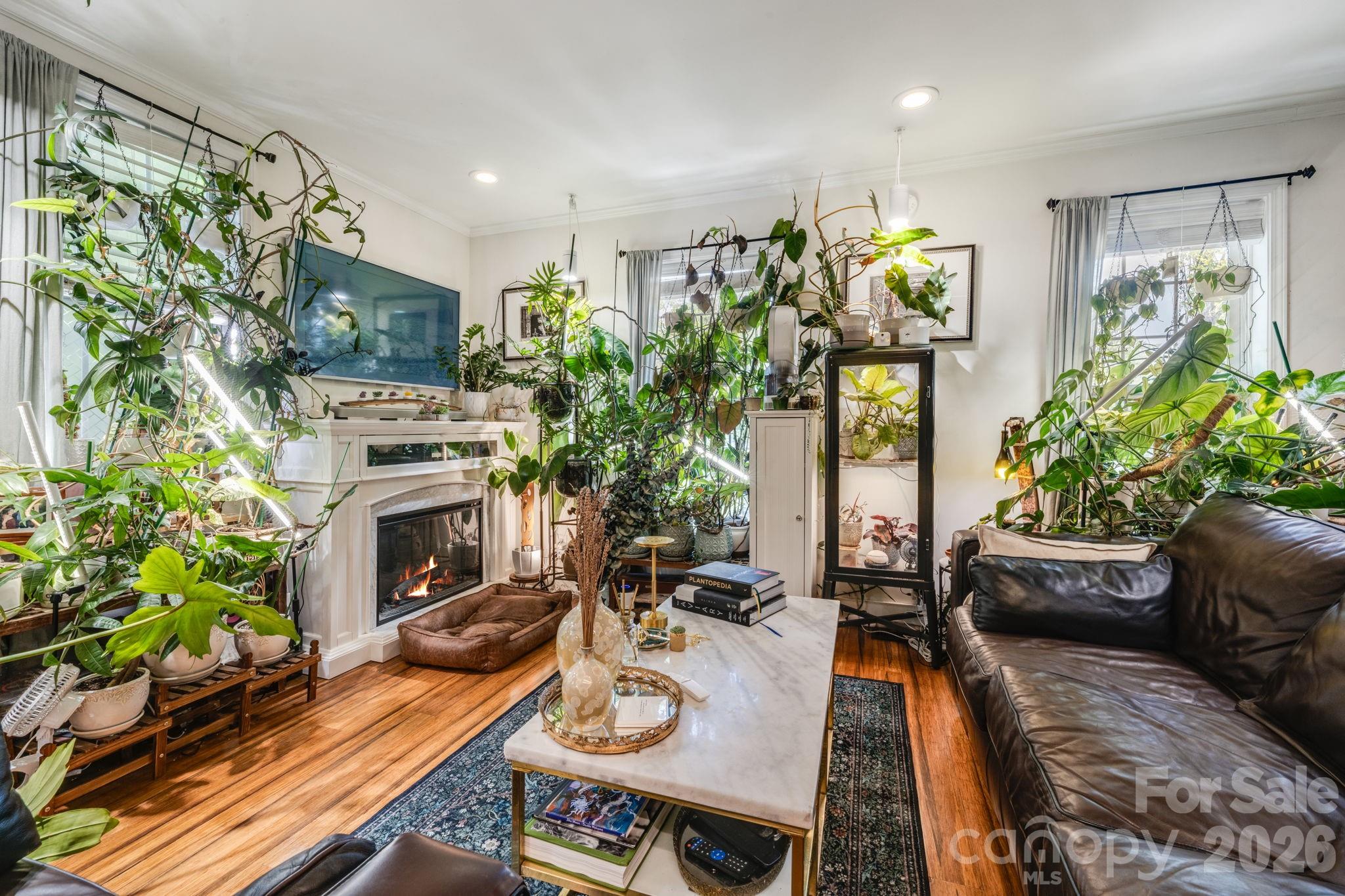 107 Courtland Avenue — Asheville
