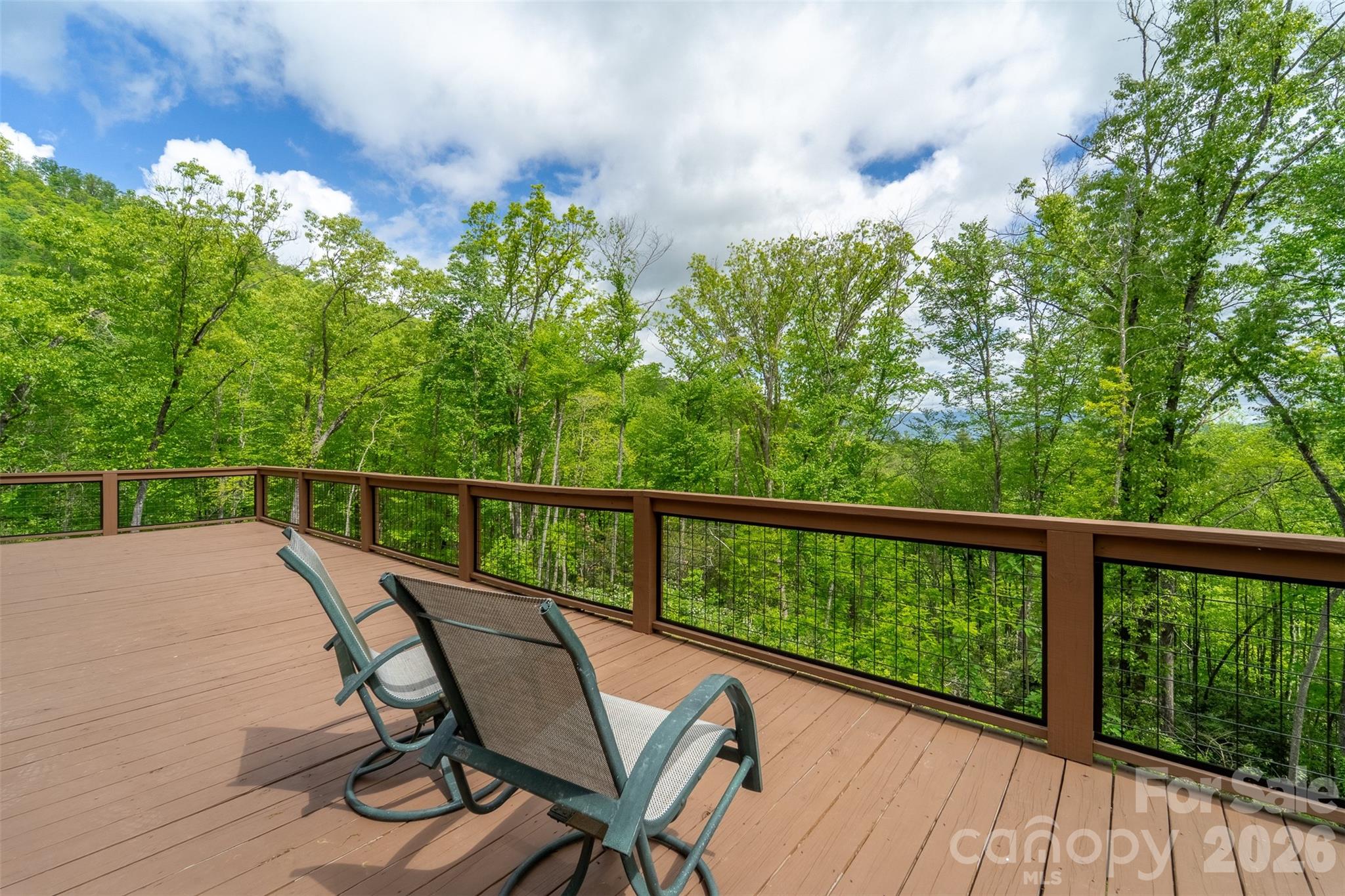 161 Panther Ridge Drive — Sylva