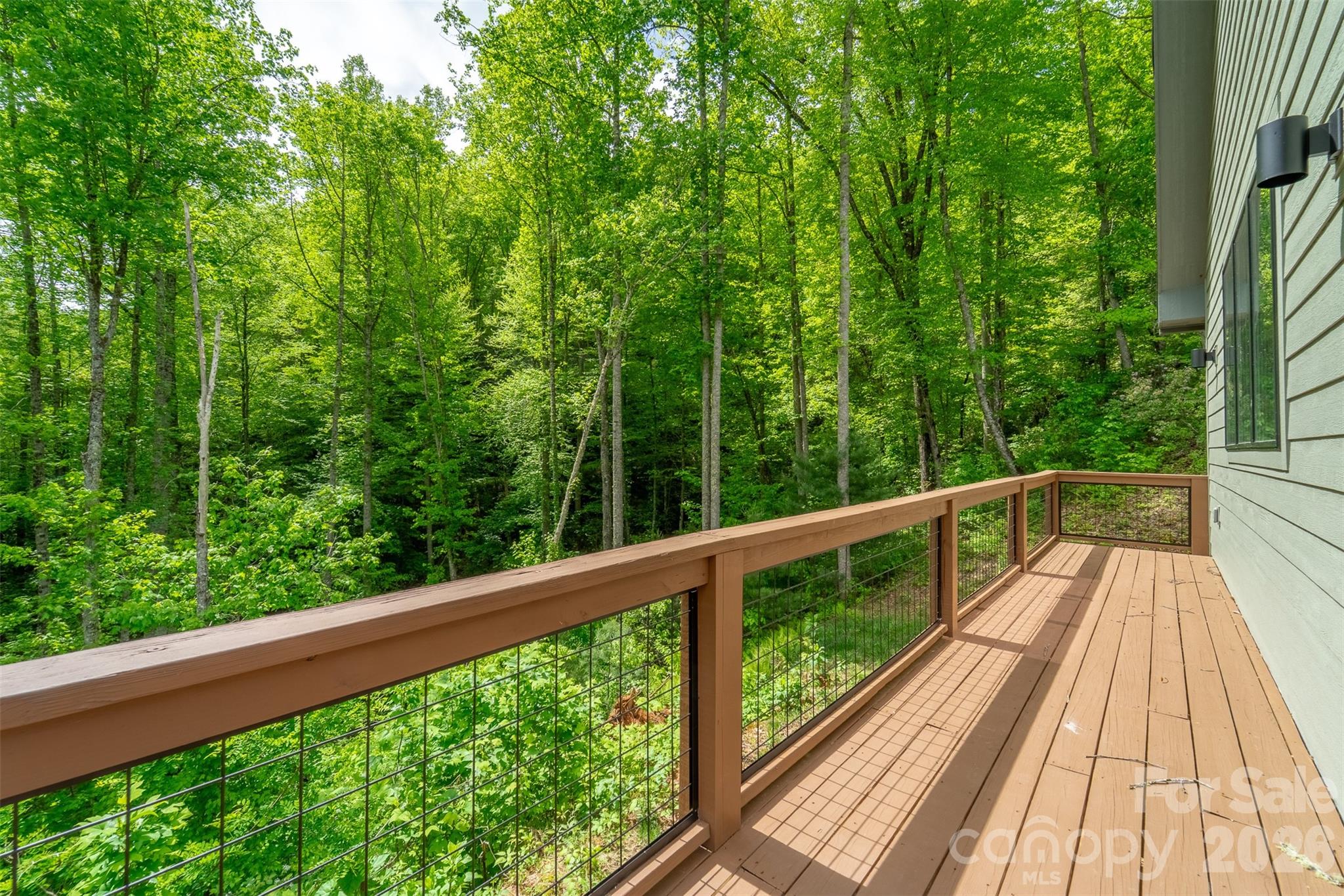 161 Panther Ridge Drive — Sylva
