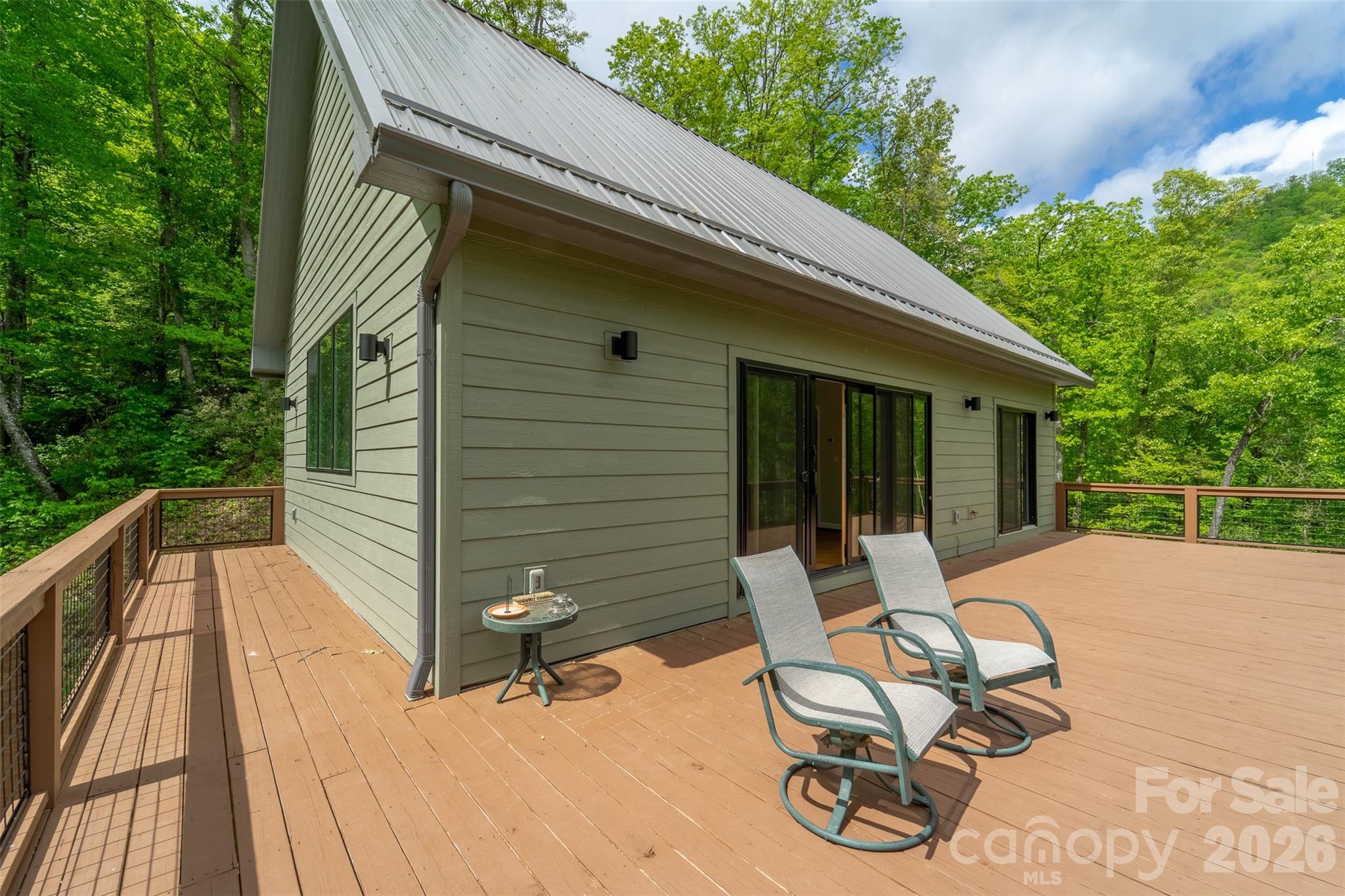 161 Panther Ridge Drive — Sylva
