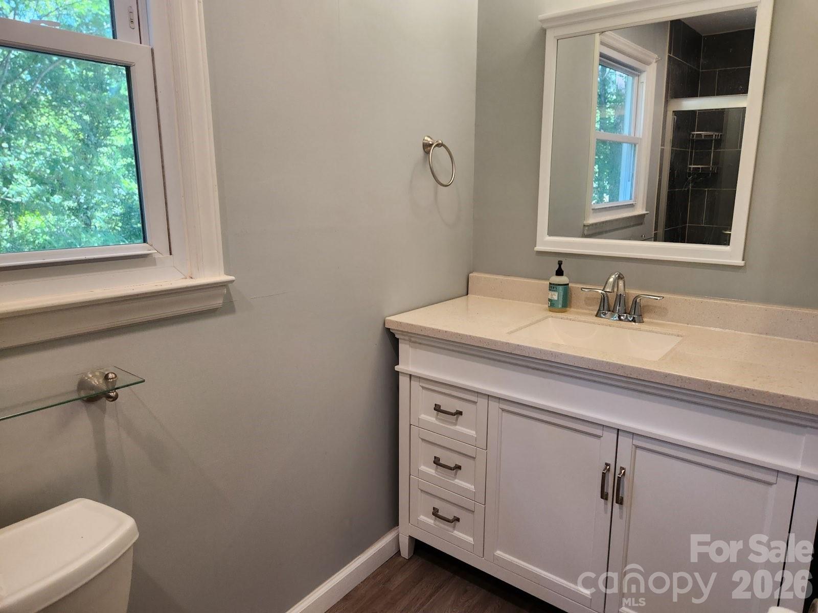 328 Swampfox Drive — Fort Mill