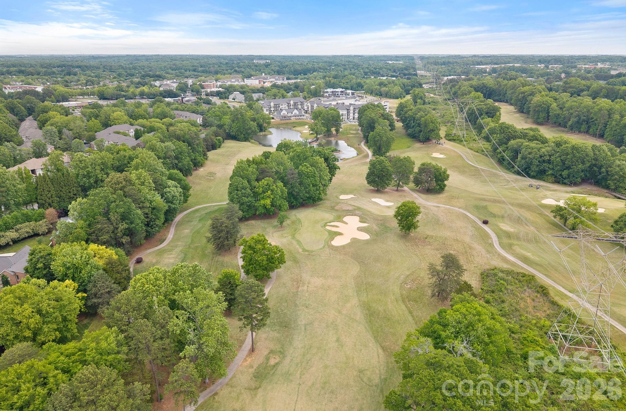 16110 Covington Point Lane — Huntersville