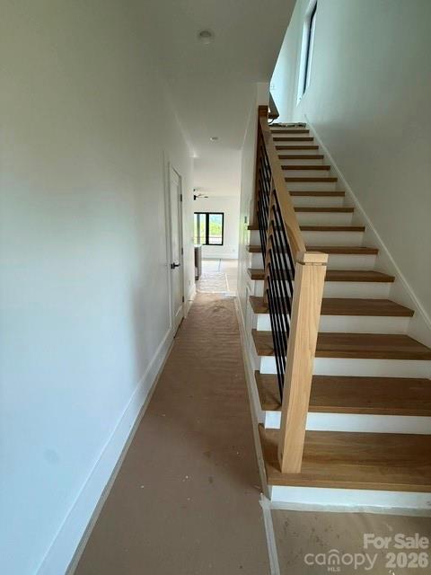 3 Locust Street — Asheville
