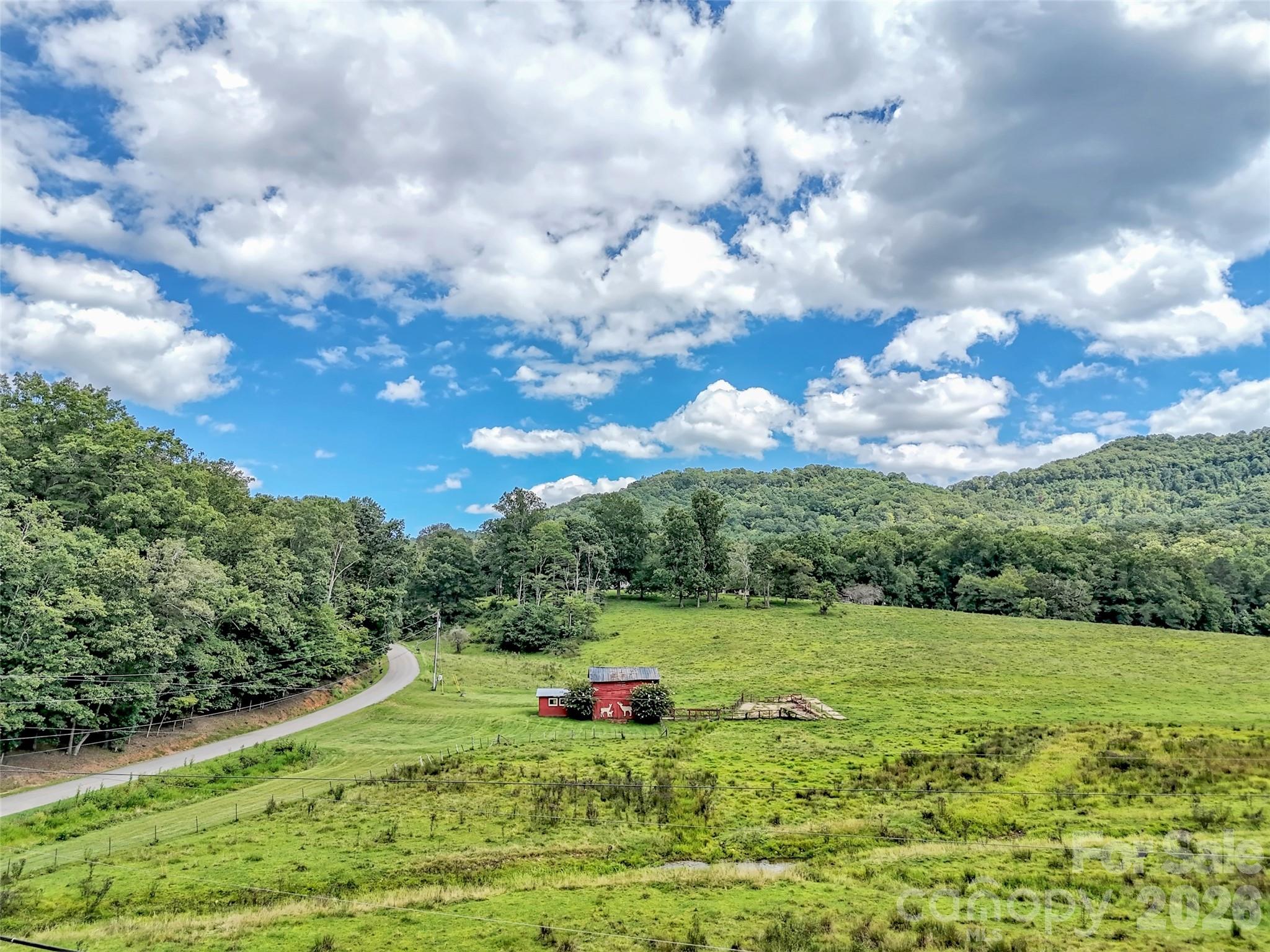 250 Reeves Cove Road — Candler