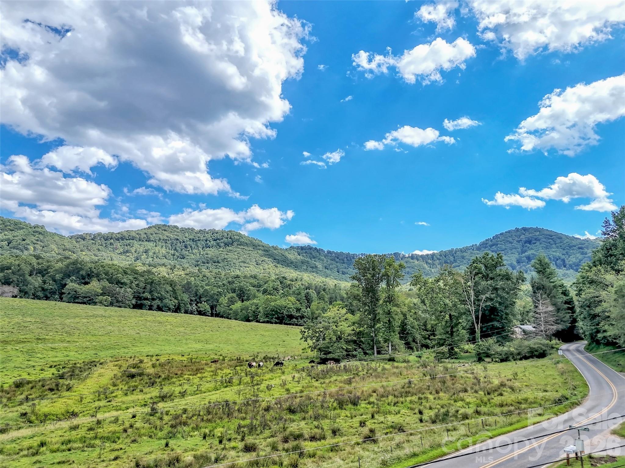 250 Reeves Cove Road — Candler
