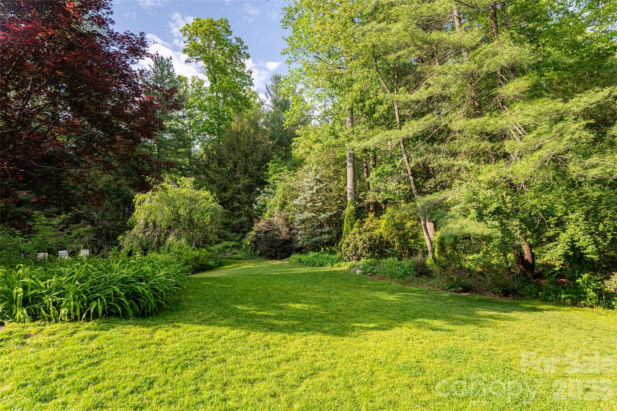 18 Forest Road — Asheville