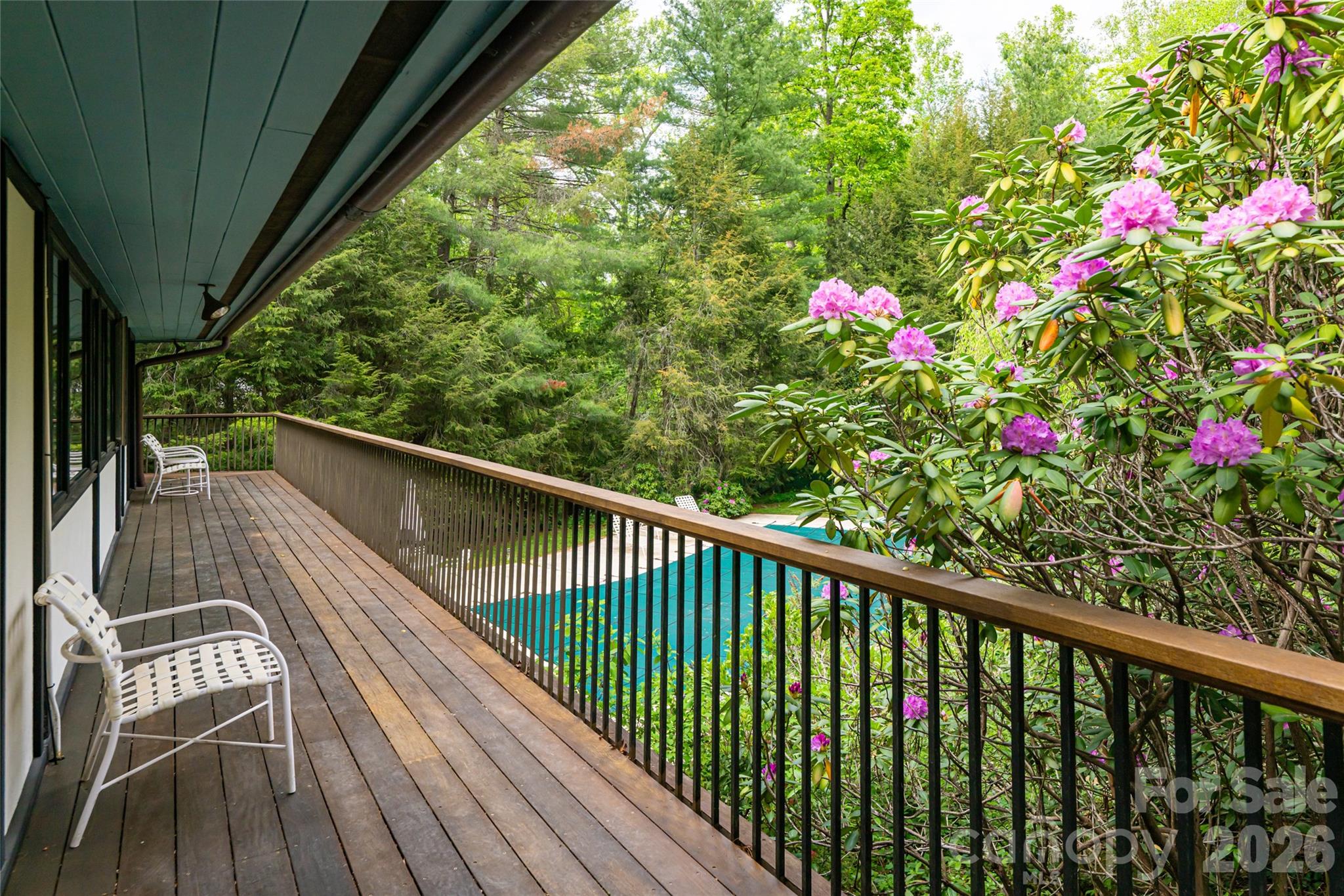 18 Forest Road — Asheville