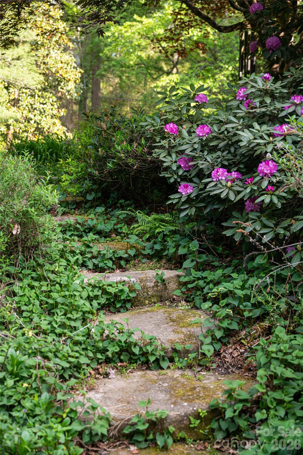 18 Forest Road — Asheville