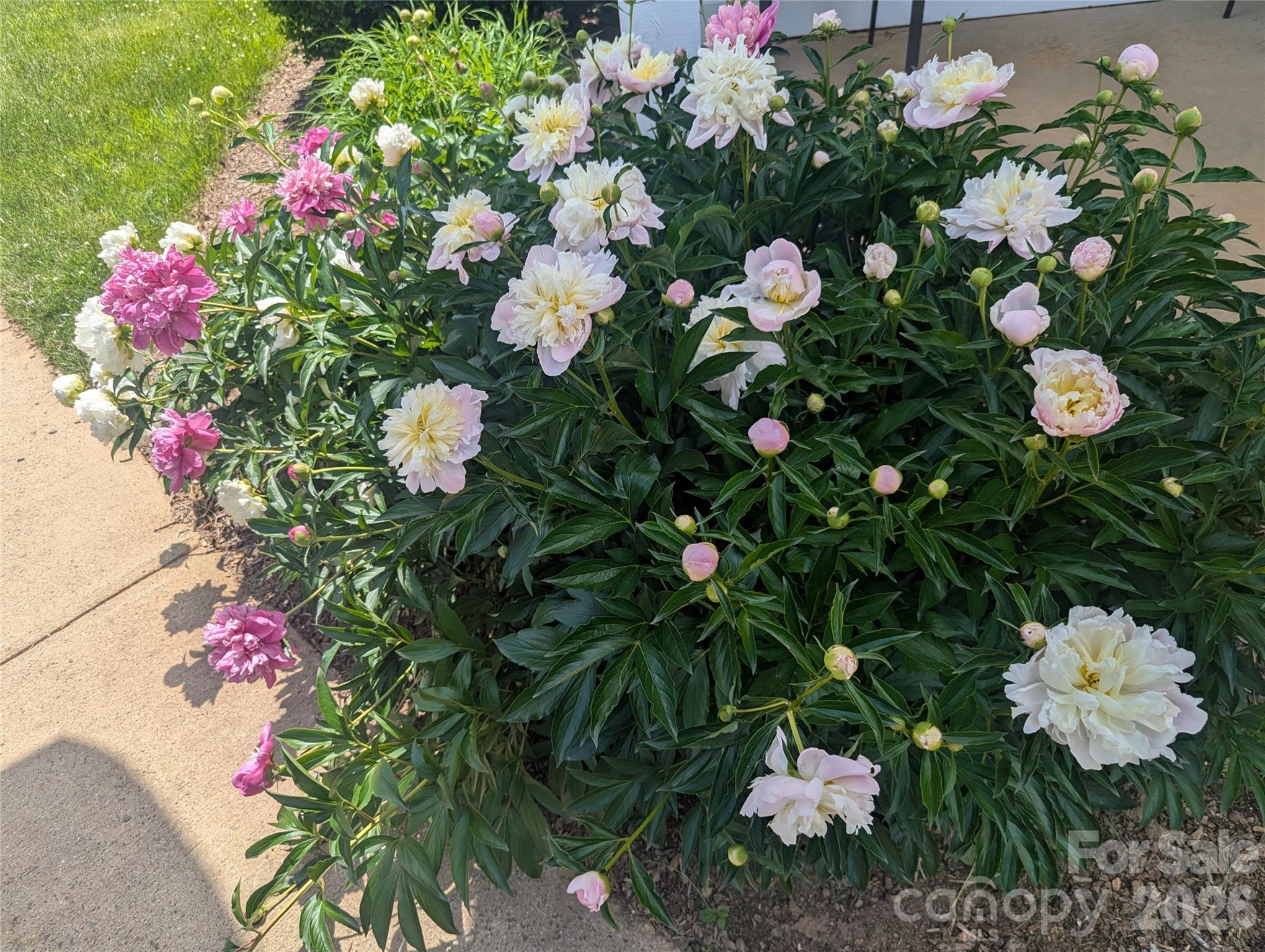 3005 Sagamore Lane — Asheville
