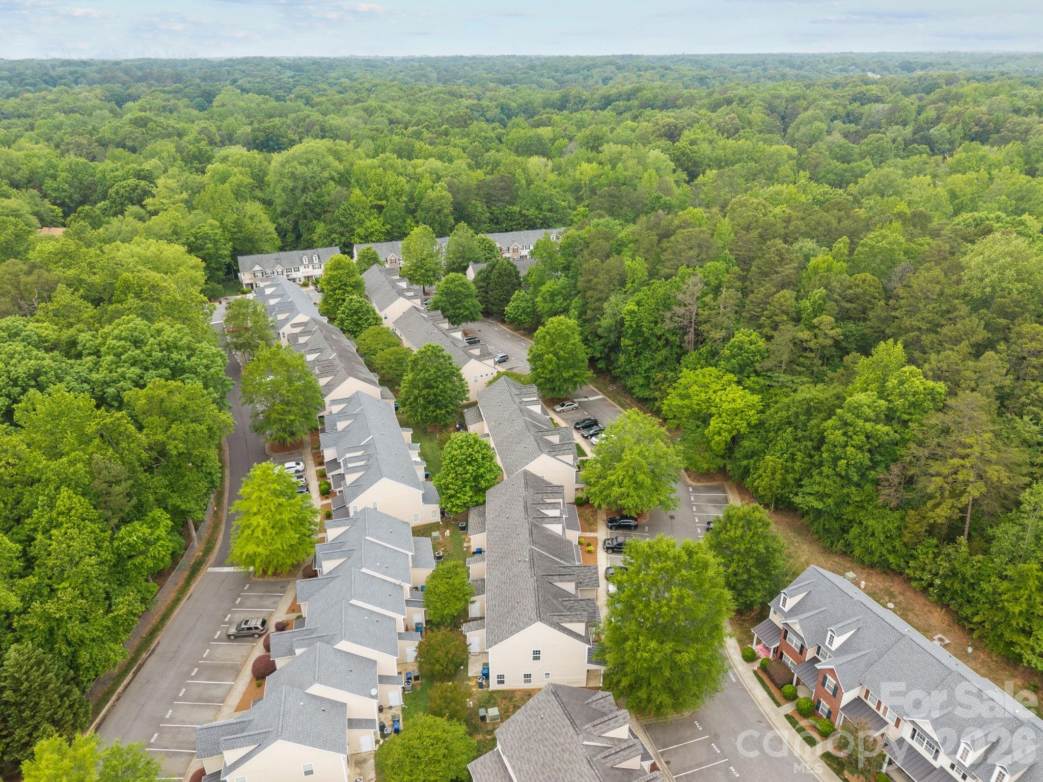 8738 Twined Creek Lane — Charlotte