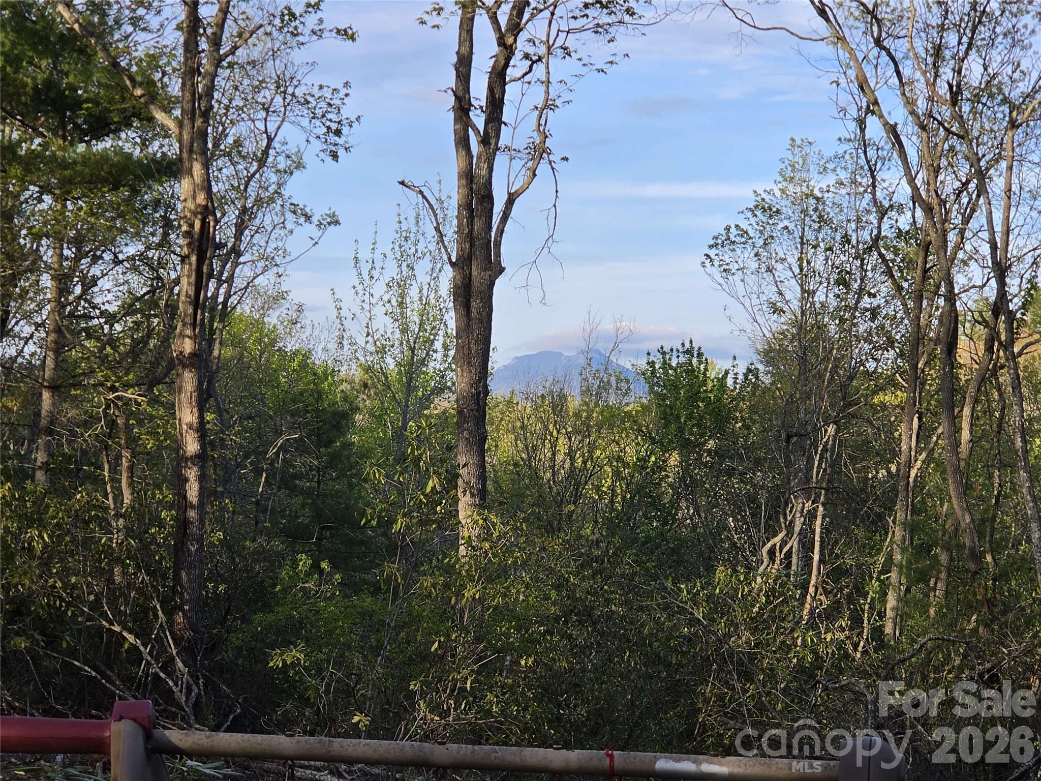 692 Buck Hill Road — Newland