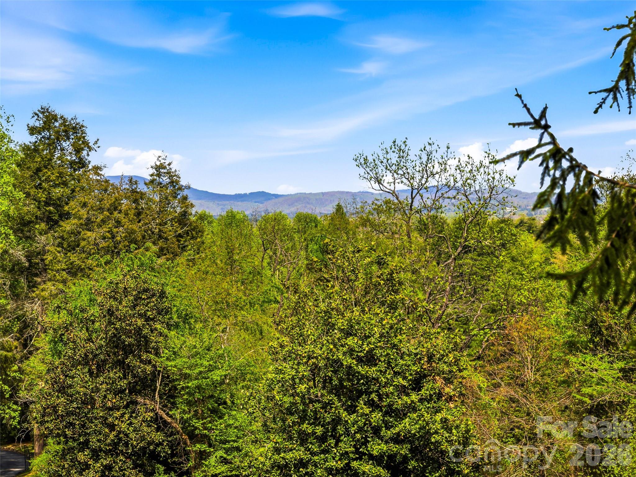 10 Kalimar Heights — Hendersonville
